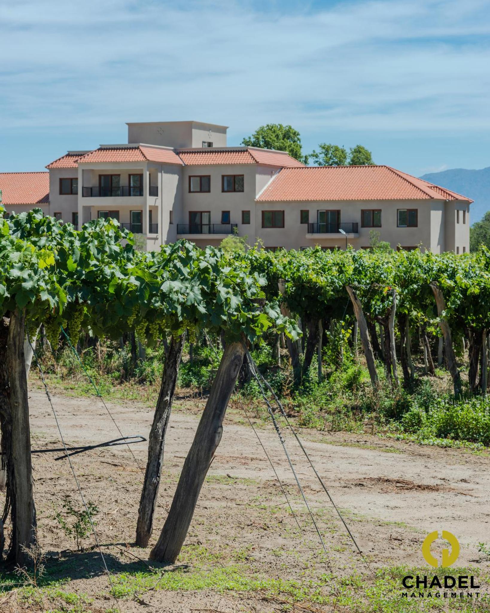 Chadel BuenaVid Cafayate