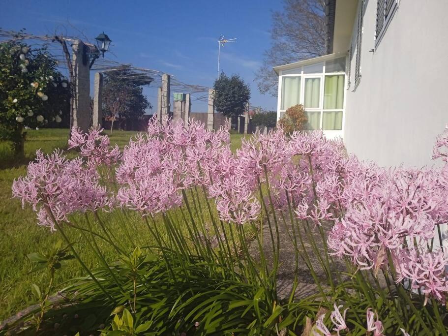 La maison d Abelleira Entera