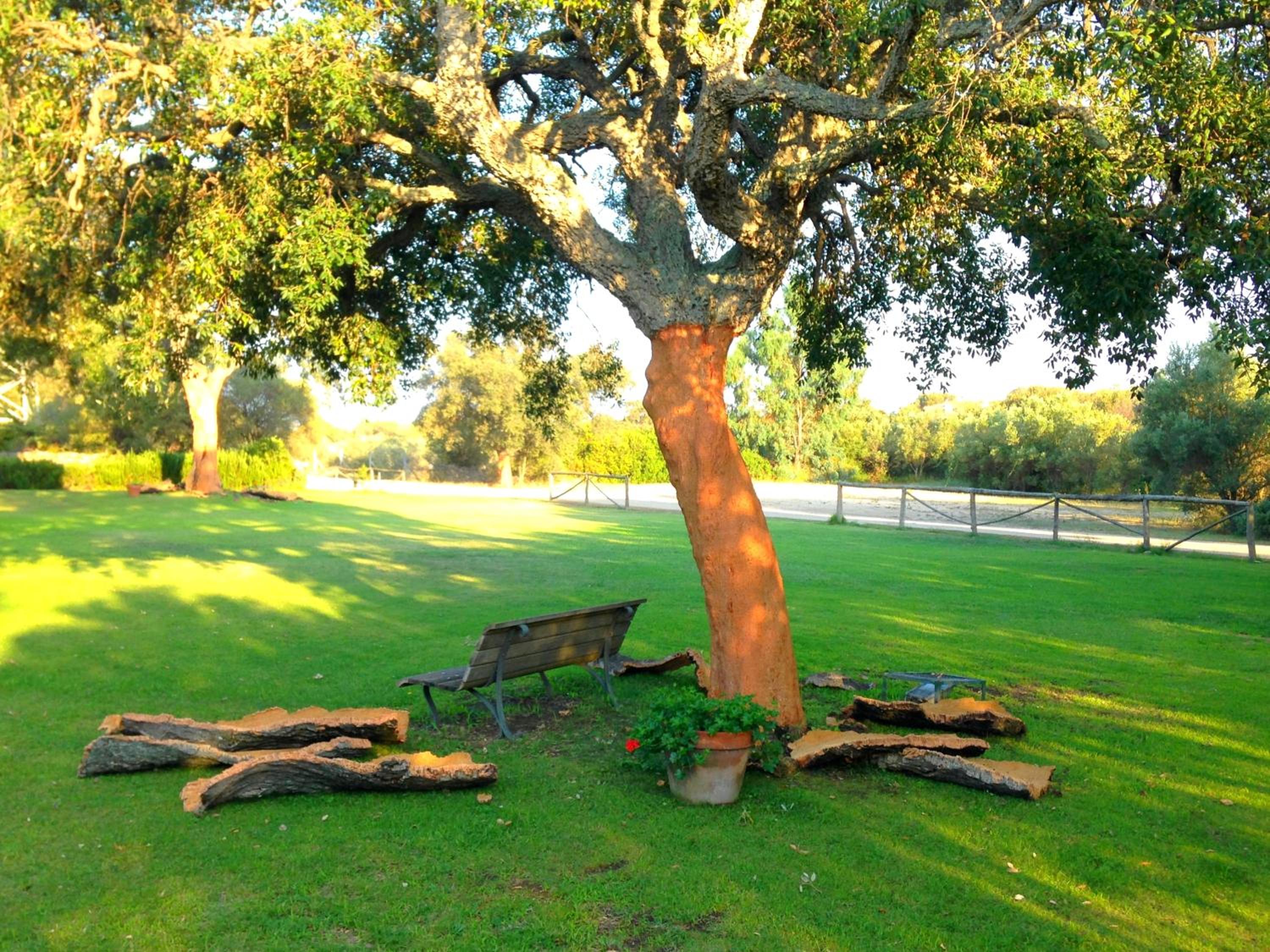 Agriturismo Li Scopi