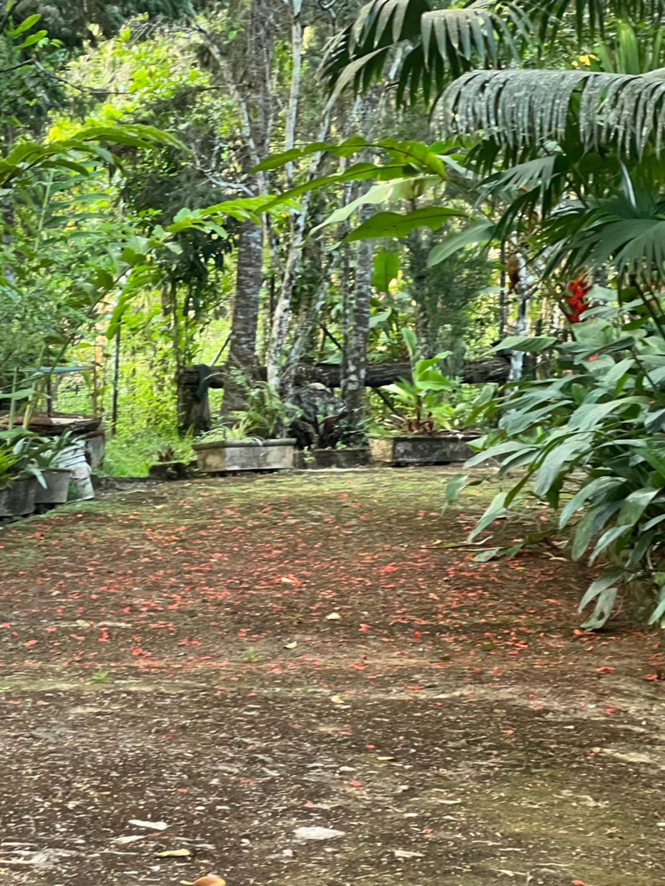 Casa na Serra de Guaramiranga