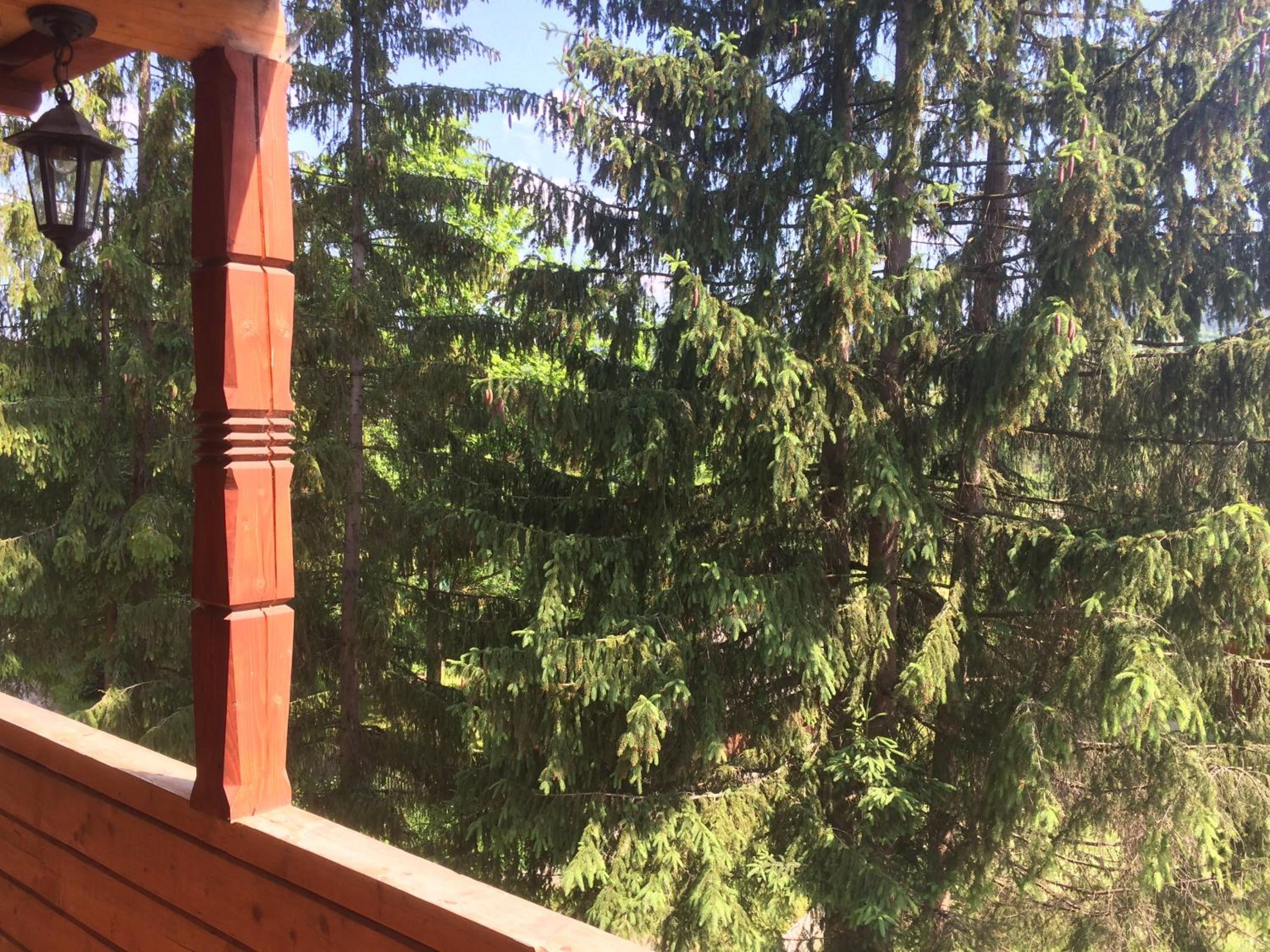 Villa PidStromom