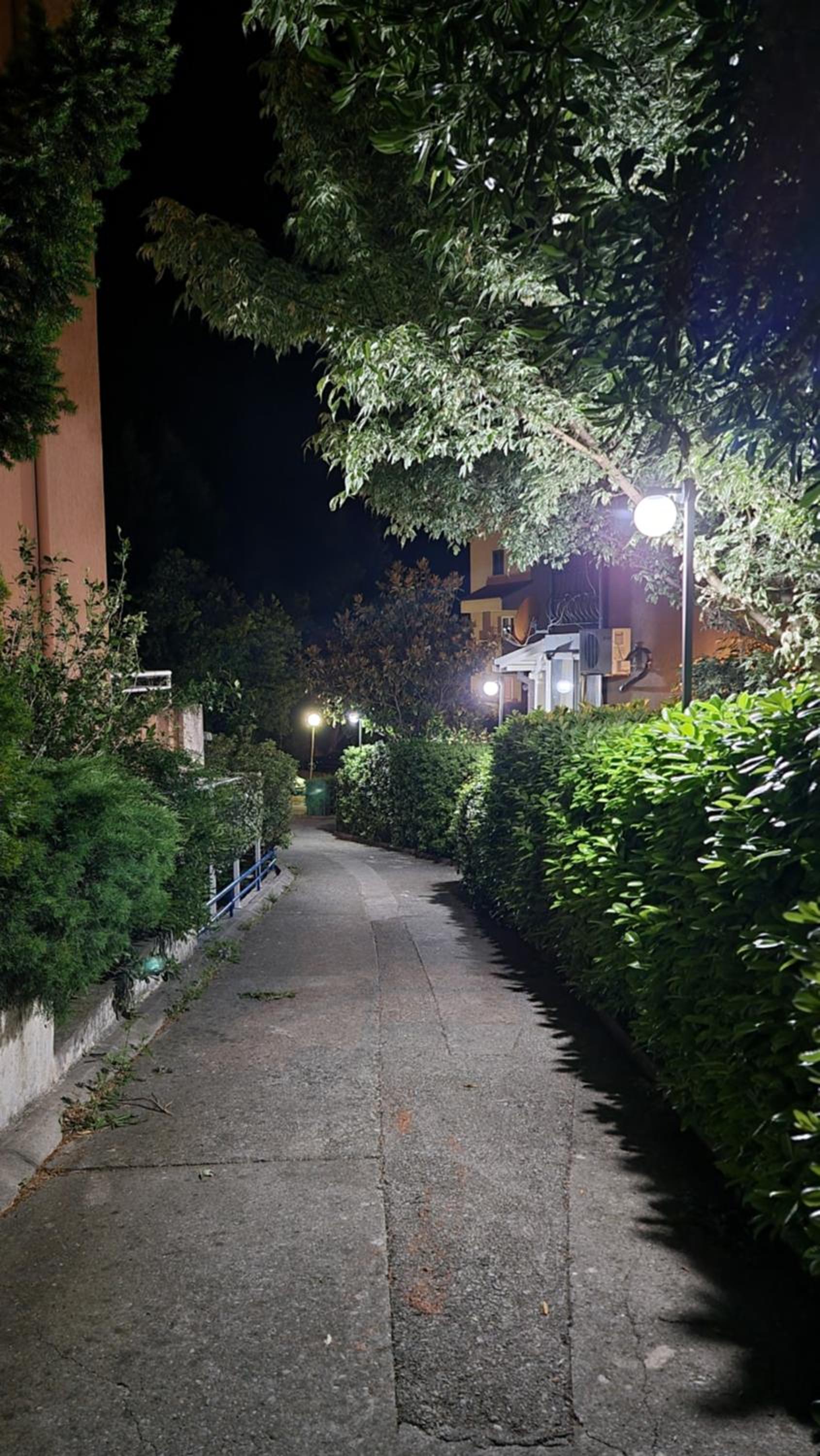 EnaMi Petrovac