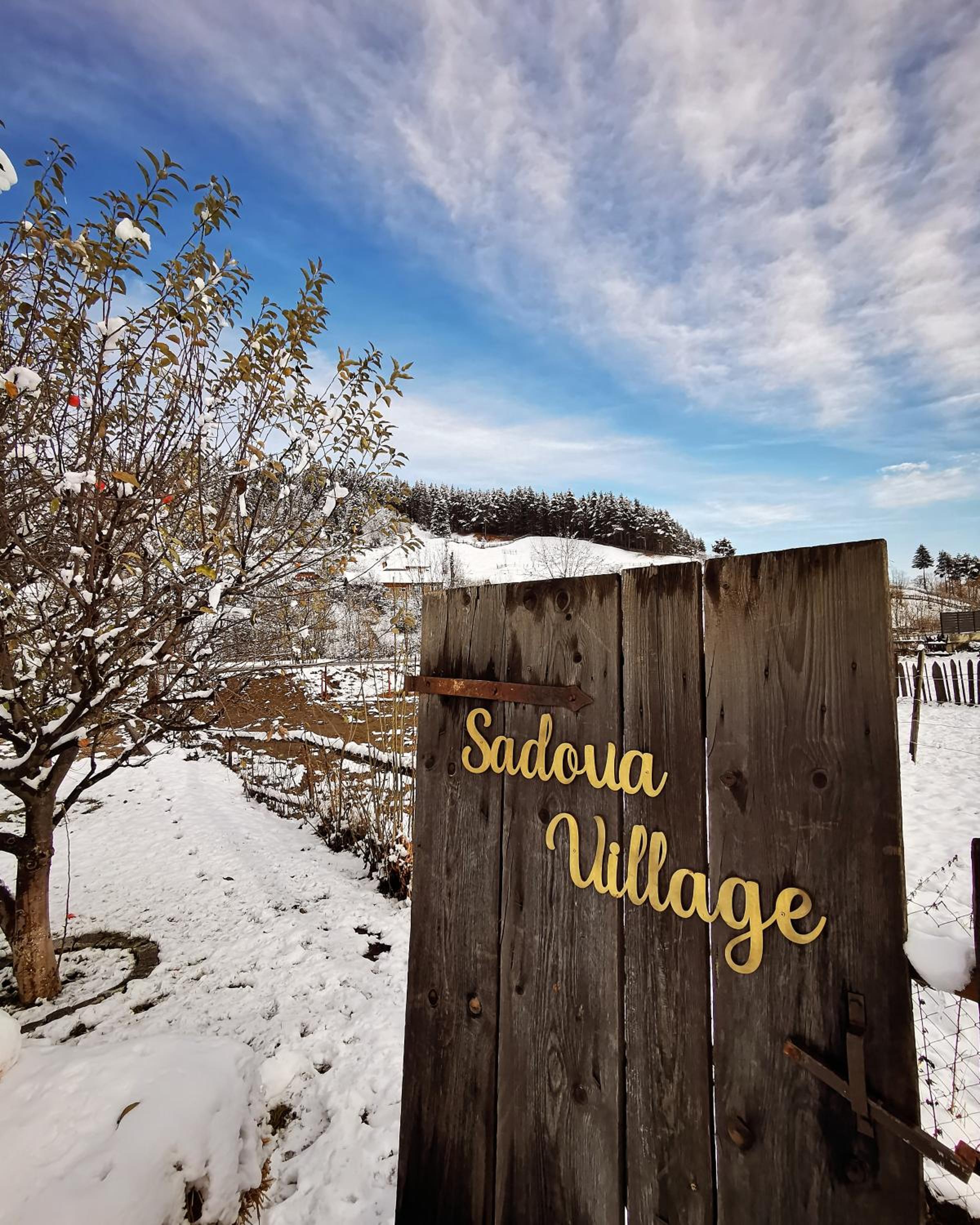 Sadova Village-Casa Elena