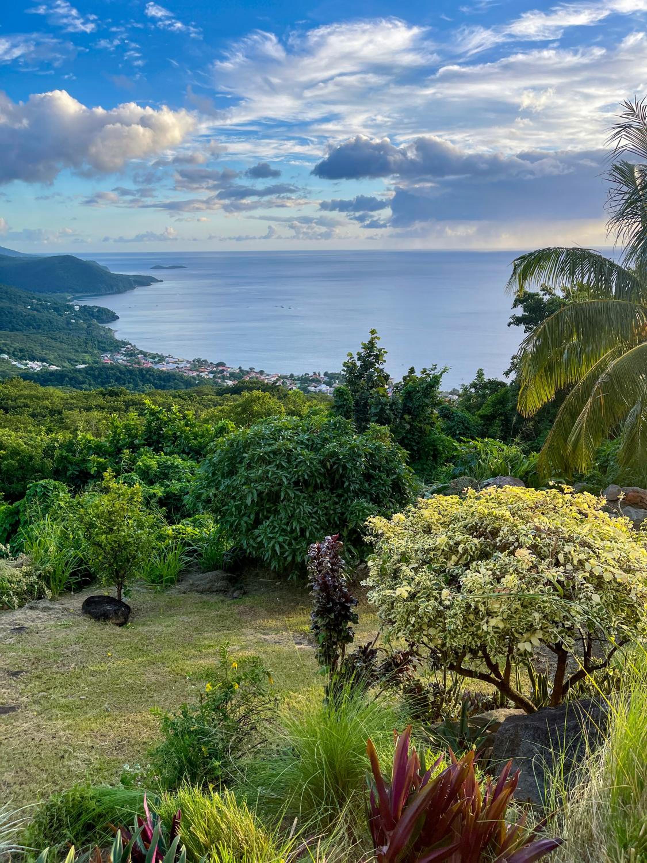 Bas de Villa Tropical Soul view 5