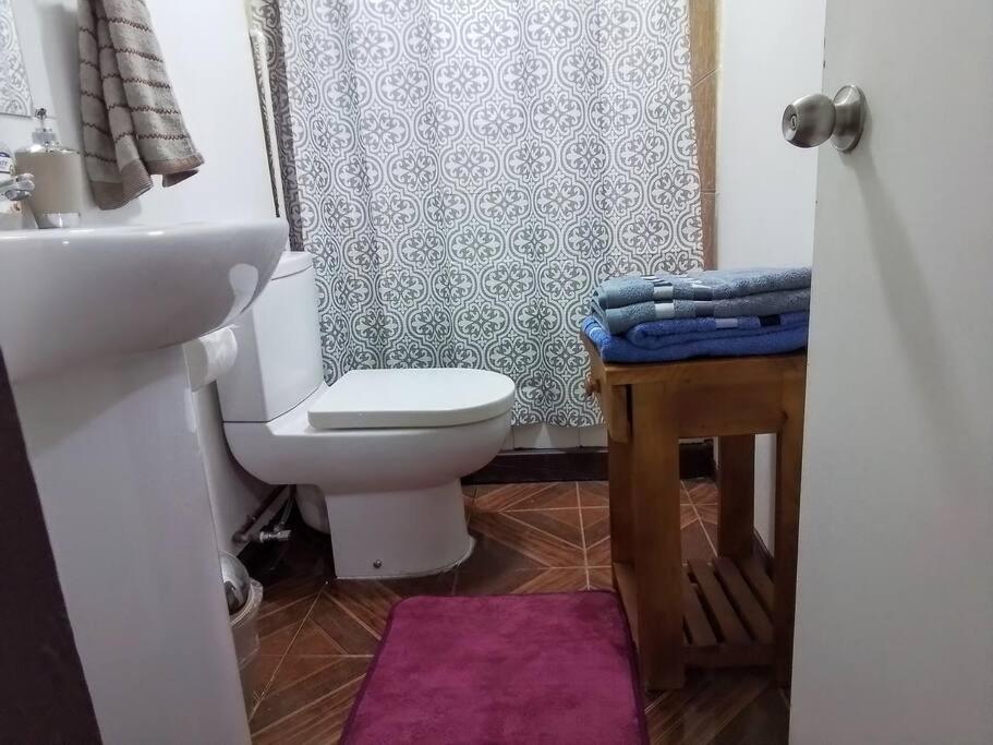 Departamento Interior 1 Villarrica Céntrico
