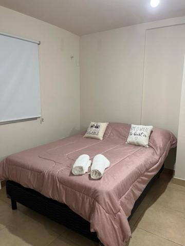 DEPARTAMENTO CENTRO SAN SALVADOR DE JUJUY