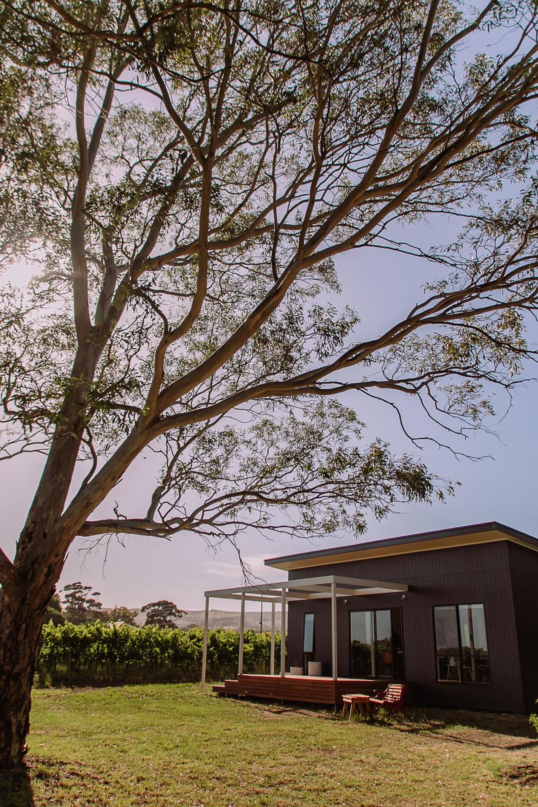Little Lodge - Willunga - C21 SouthCoast Holidays