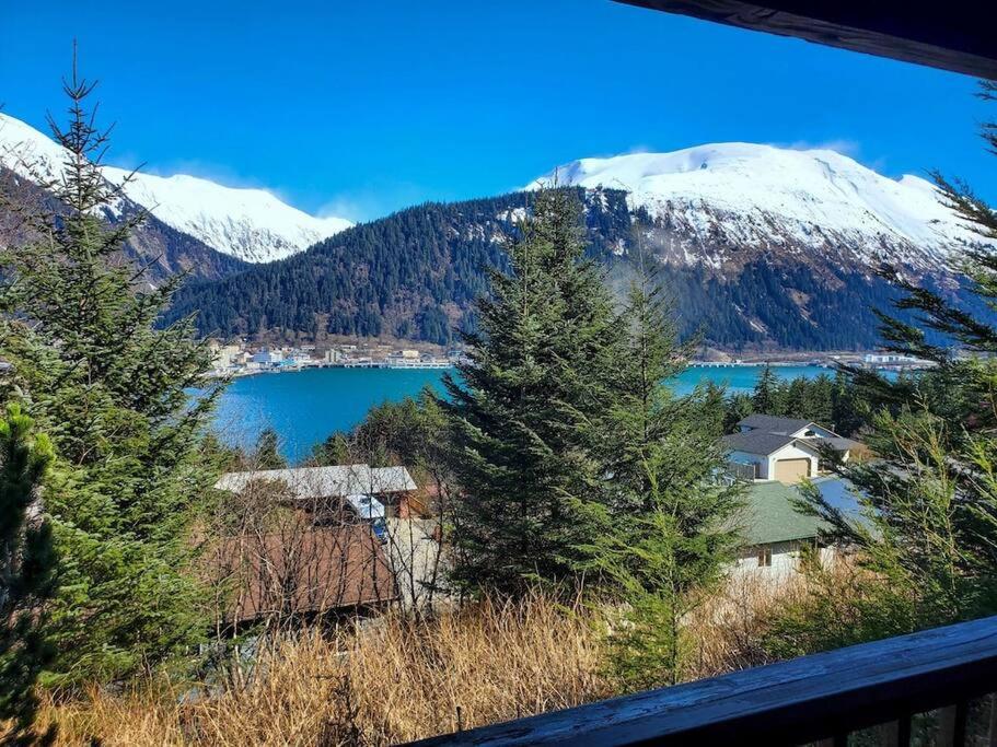 Breathtaking Ocean, Mountain & Juneau Views