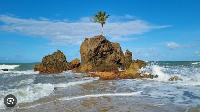 Uma casa perfeita num paraíso