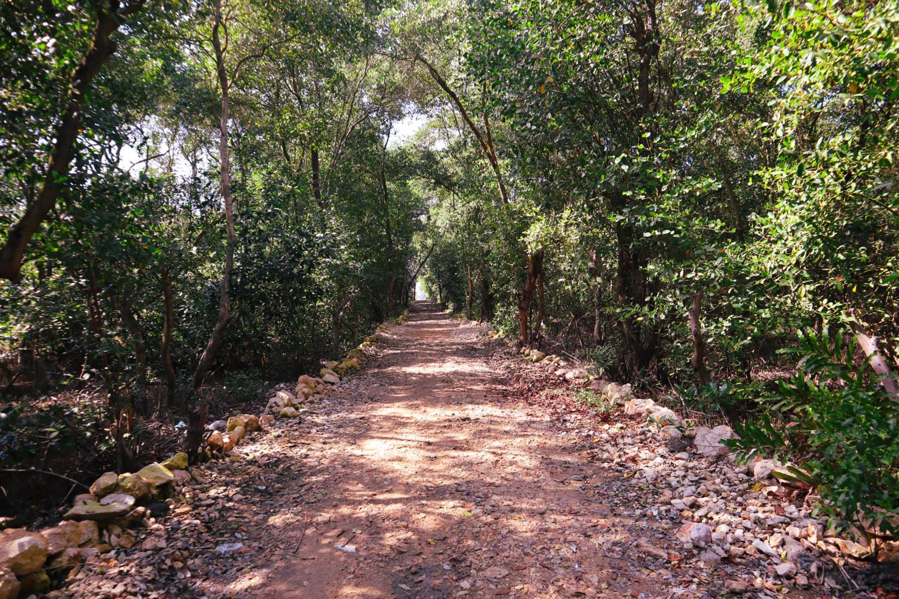 Cabaña Tierramia 1