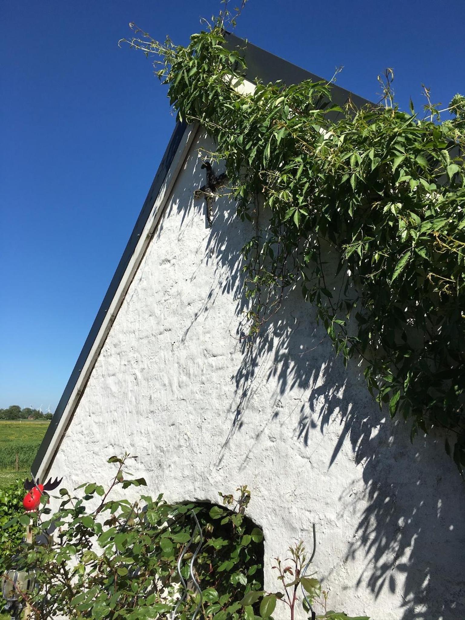 Ferienhaus Norddeichkieker -Nähe Büsum