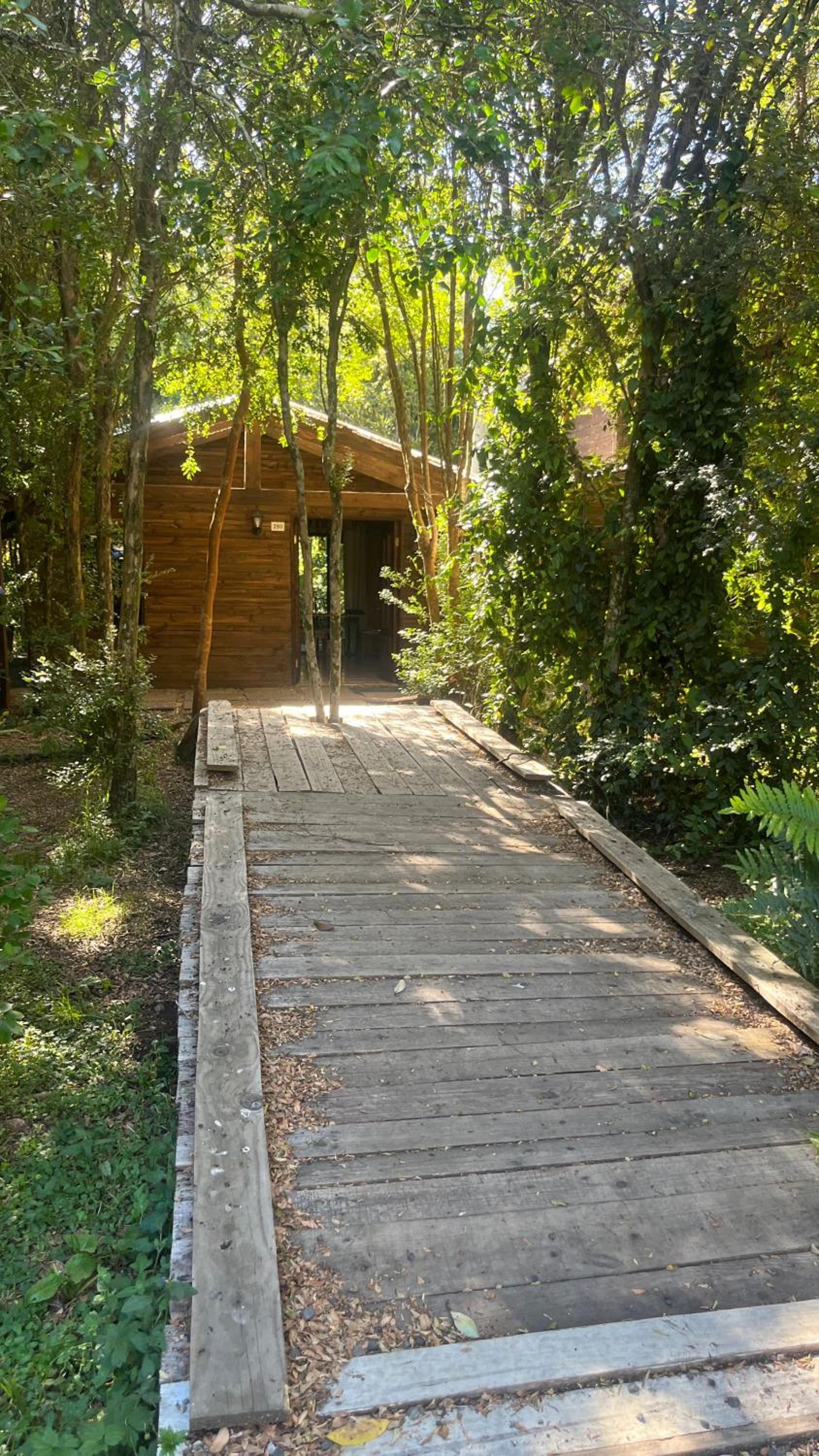 Casa bosque