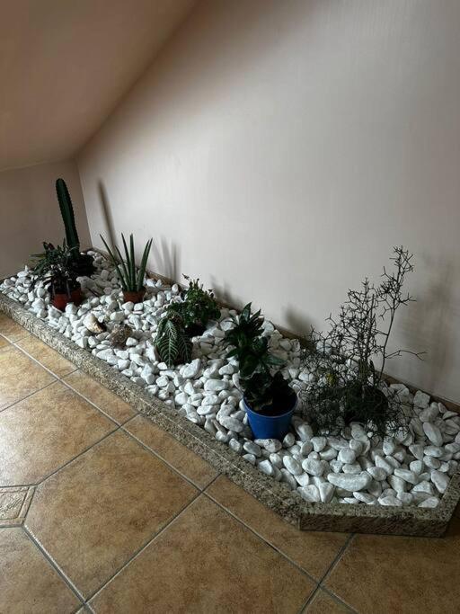 apartamento em bairro nobre suíte com ar condicionado e banheira com hidromassagem