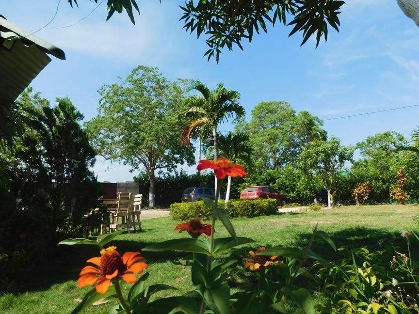Casa campestre Mallorca