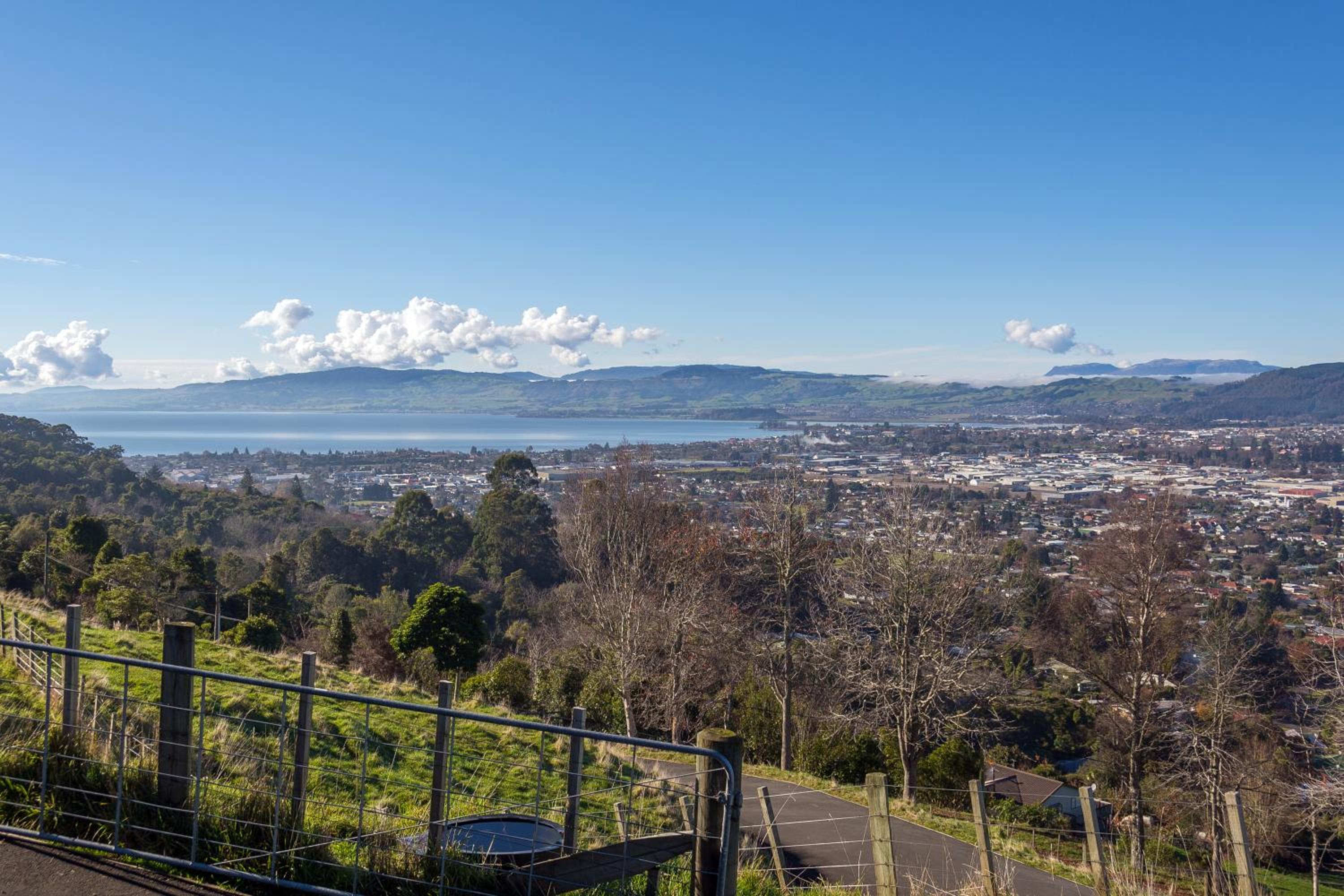 The Lookout