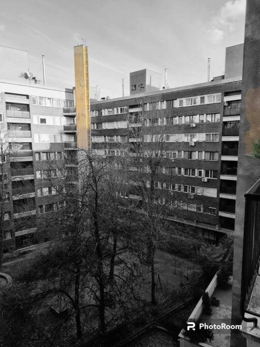 Danube Dwelling Asboth 19-2 view 5