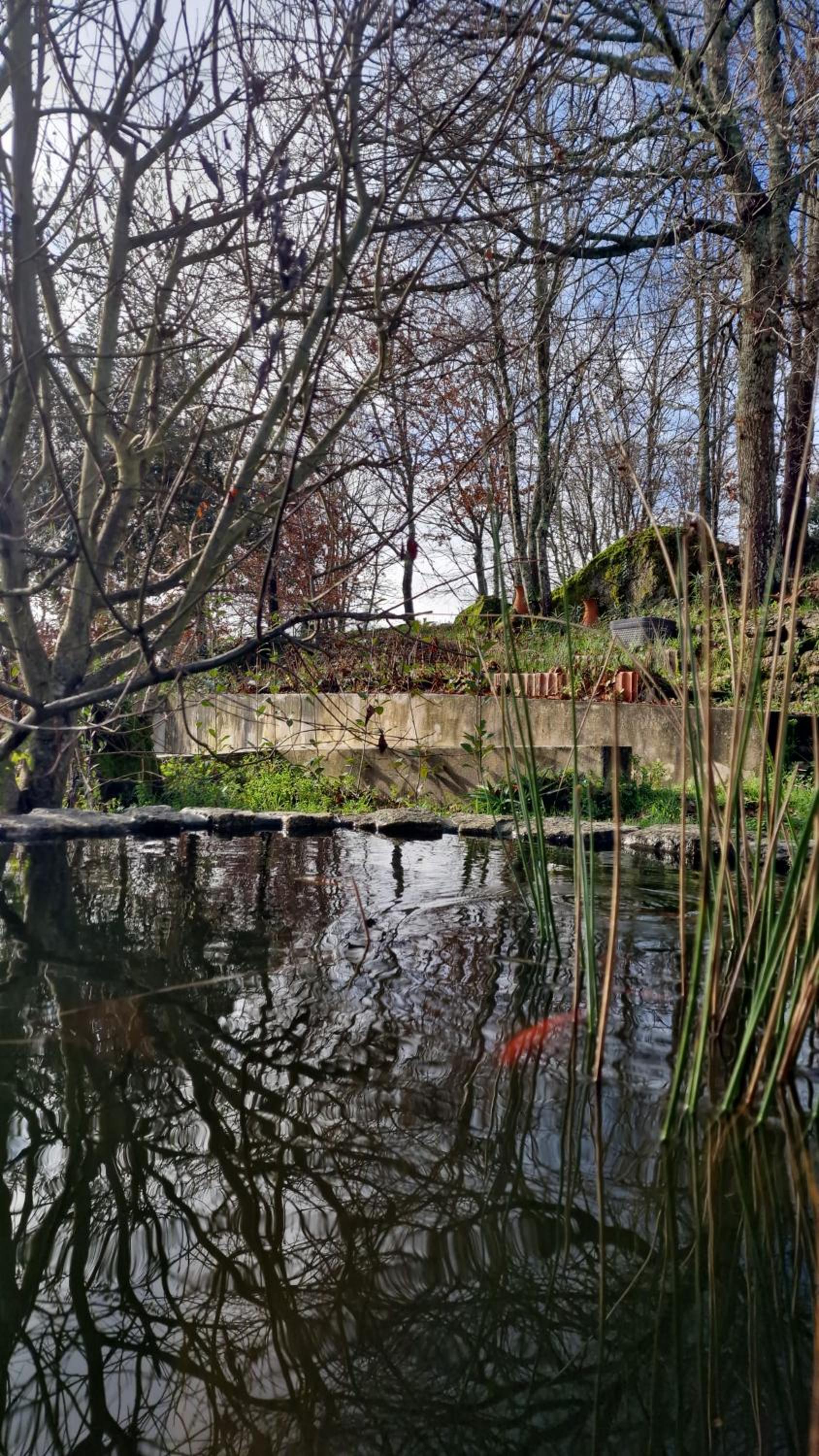 Rustic Retreat-Country House view 3