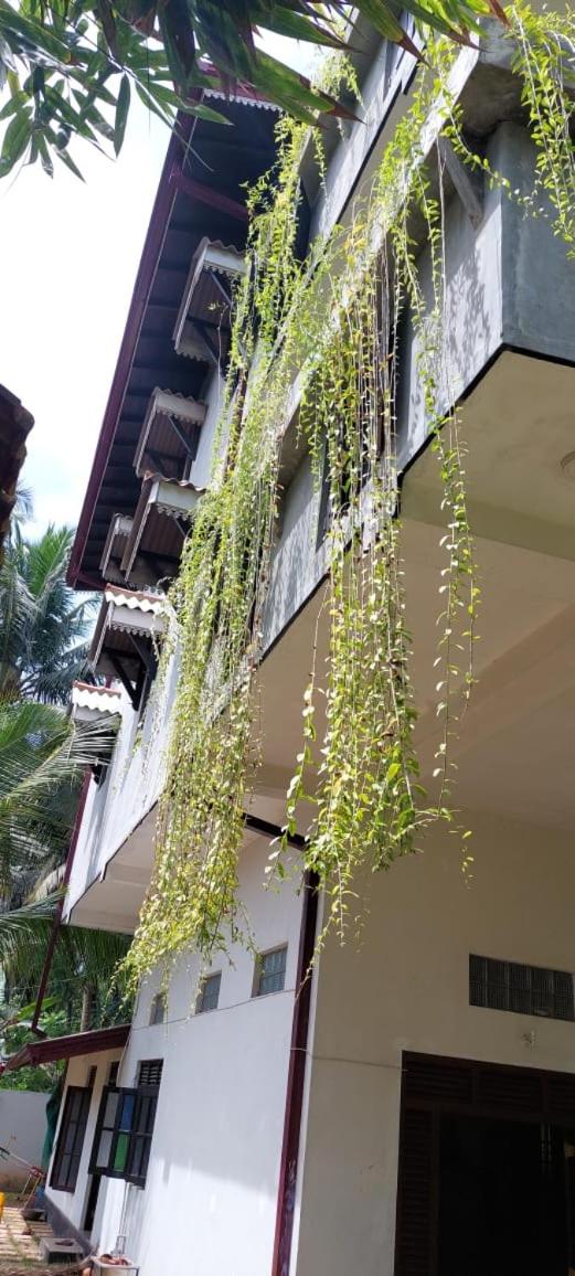 Samanpath Villa 2 view 2