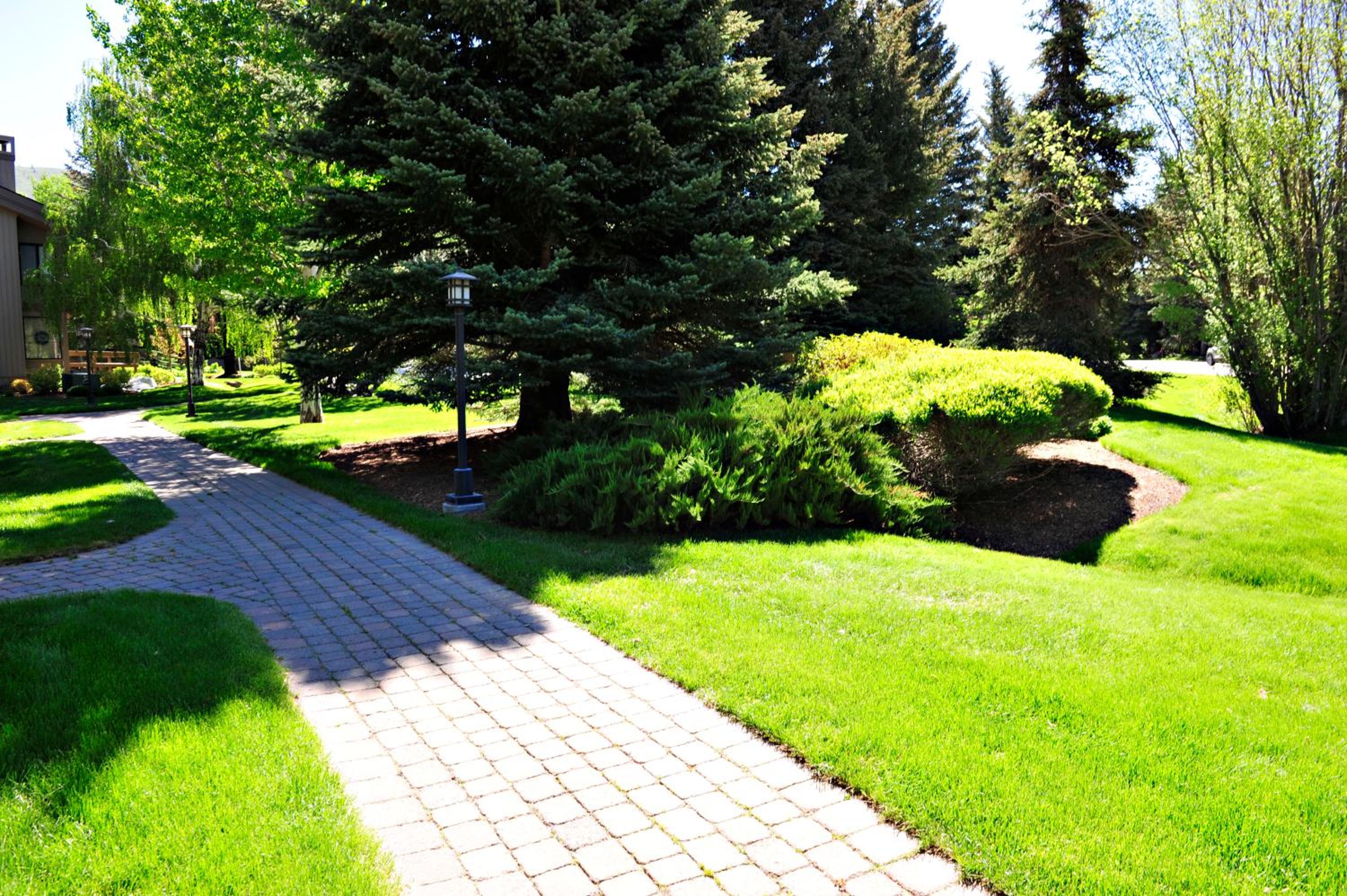 Villager Condo 1207 - Property Image 44