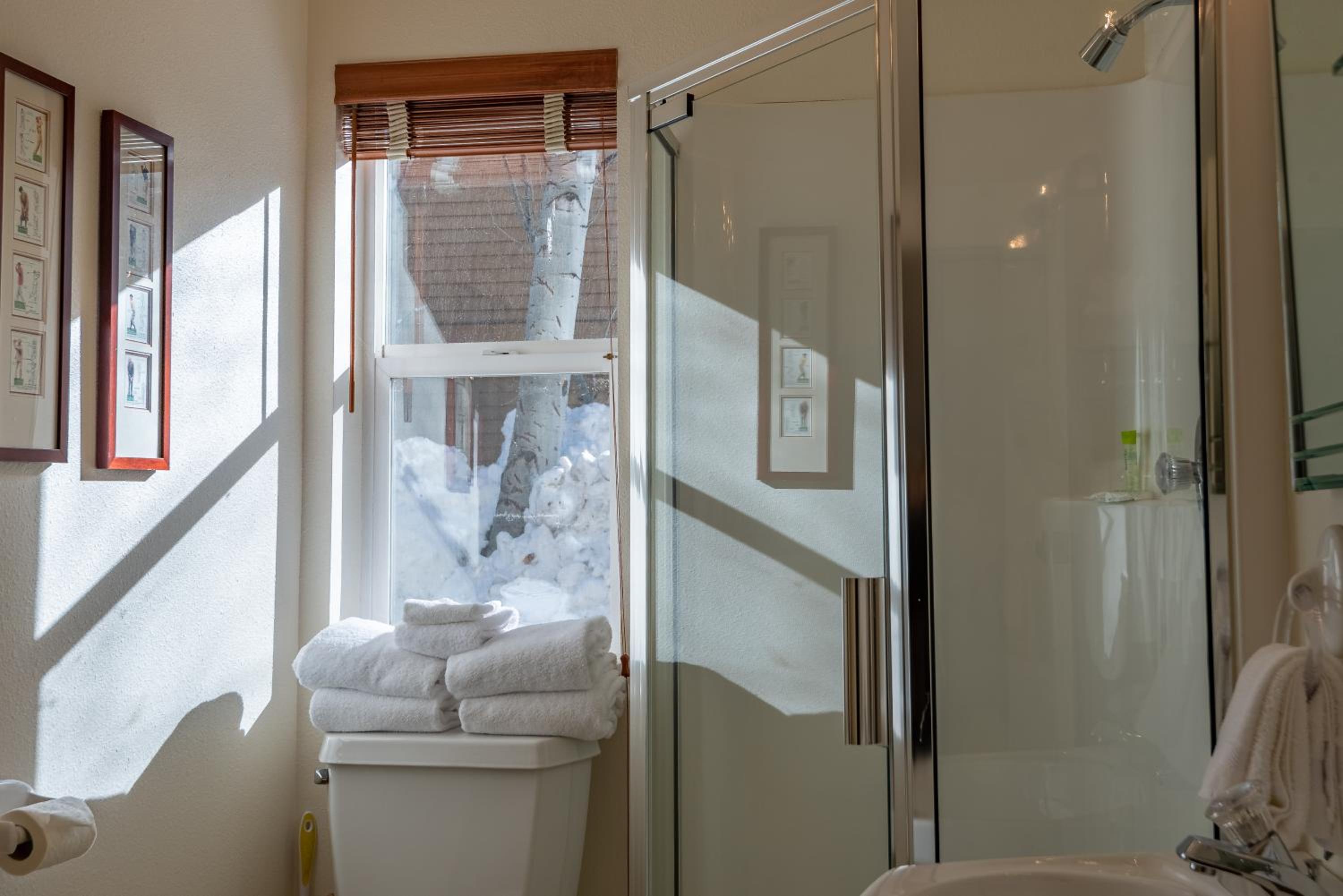 Ketchum Vacations - Sunbird Condo 9 - Property Image 40