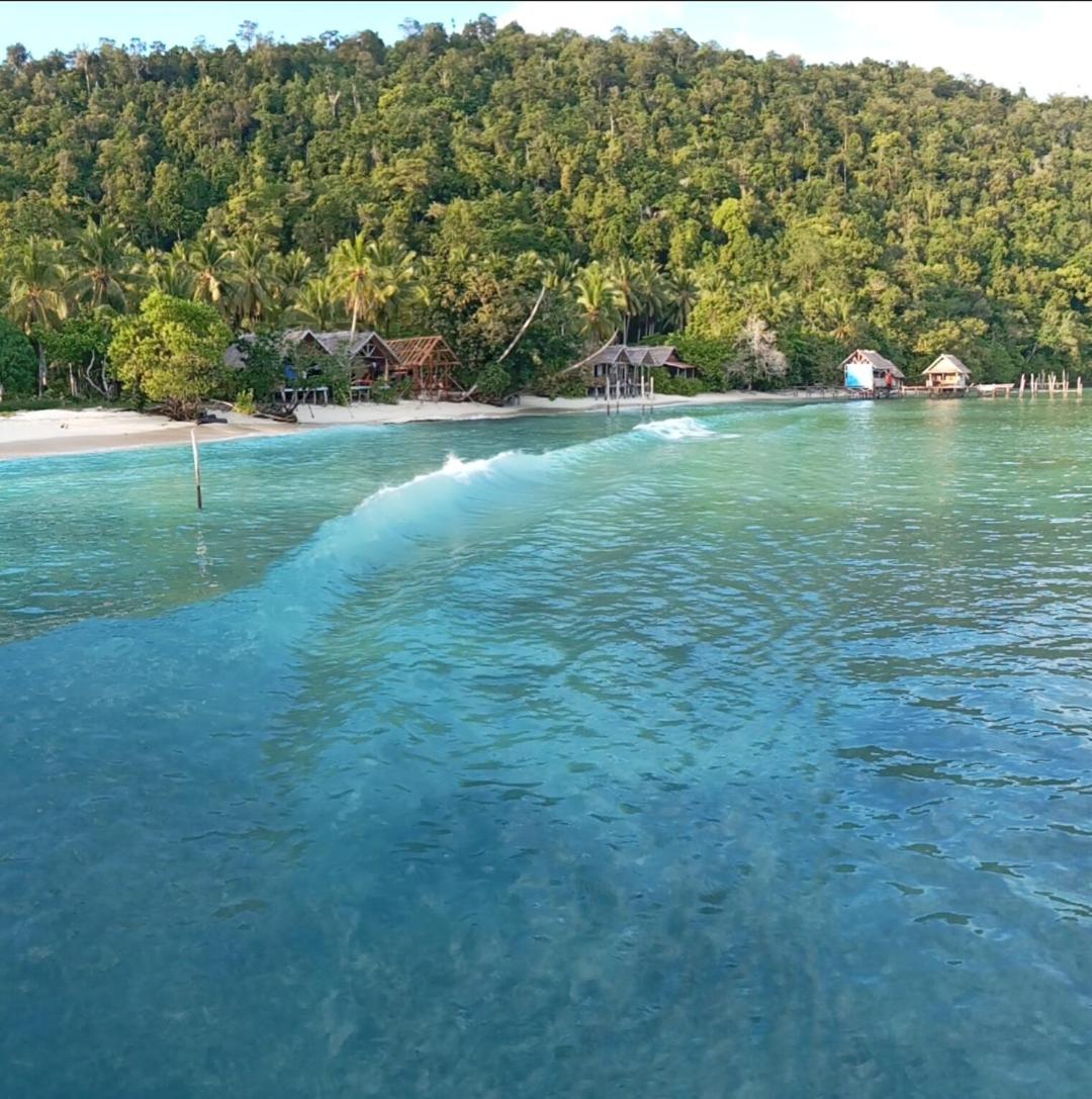 Bruno Raja Ampat Homestay