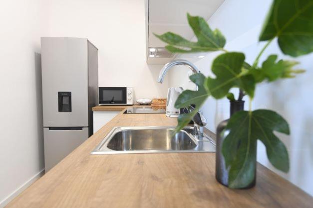 Apartmani Plazina