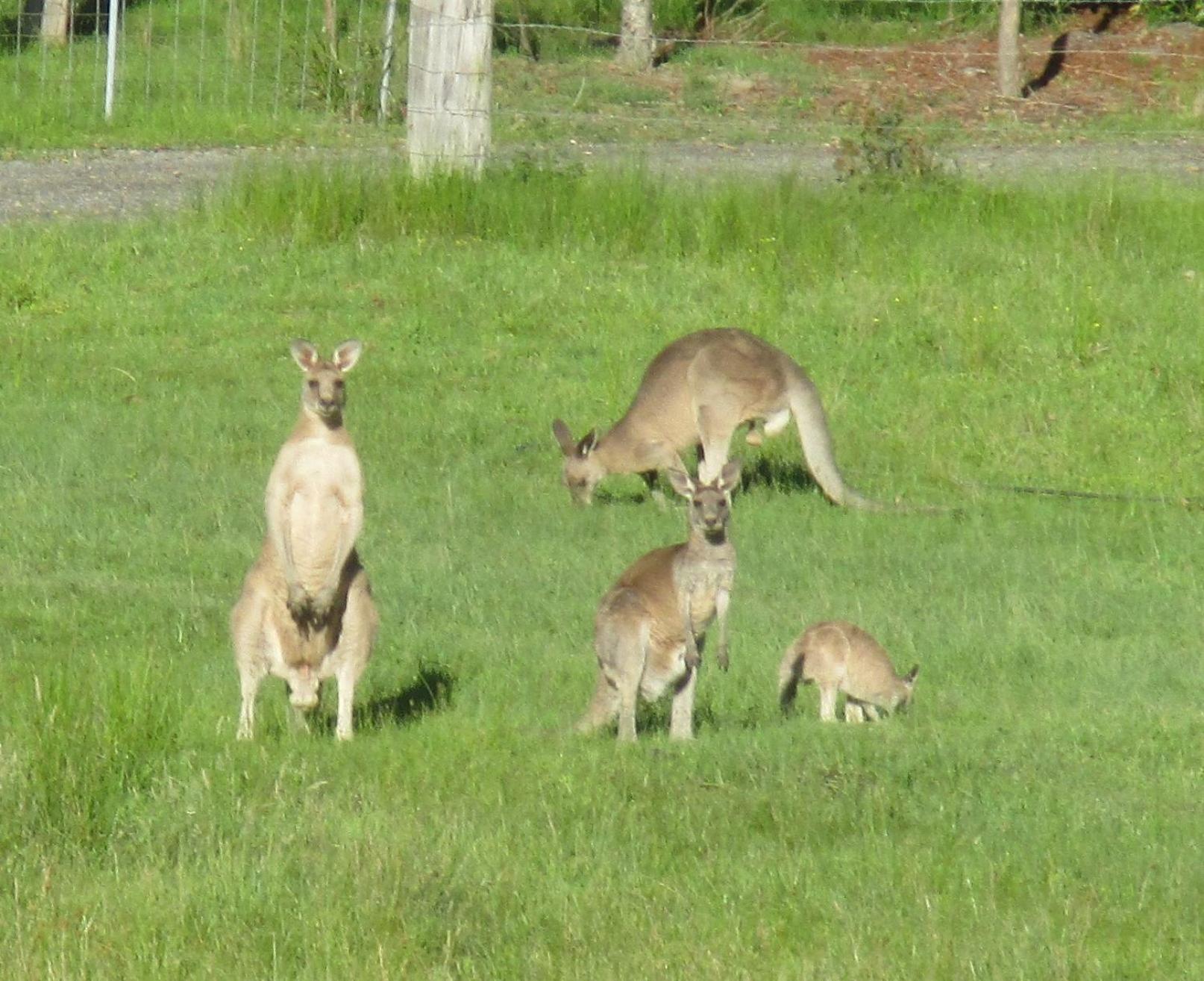 Bournda Retreat