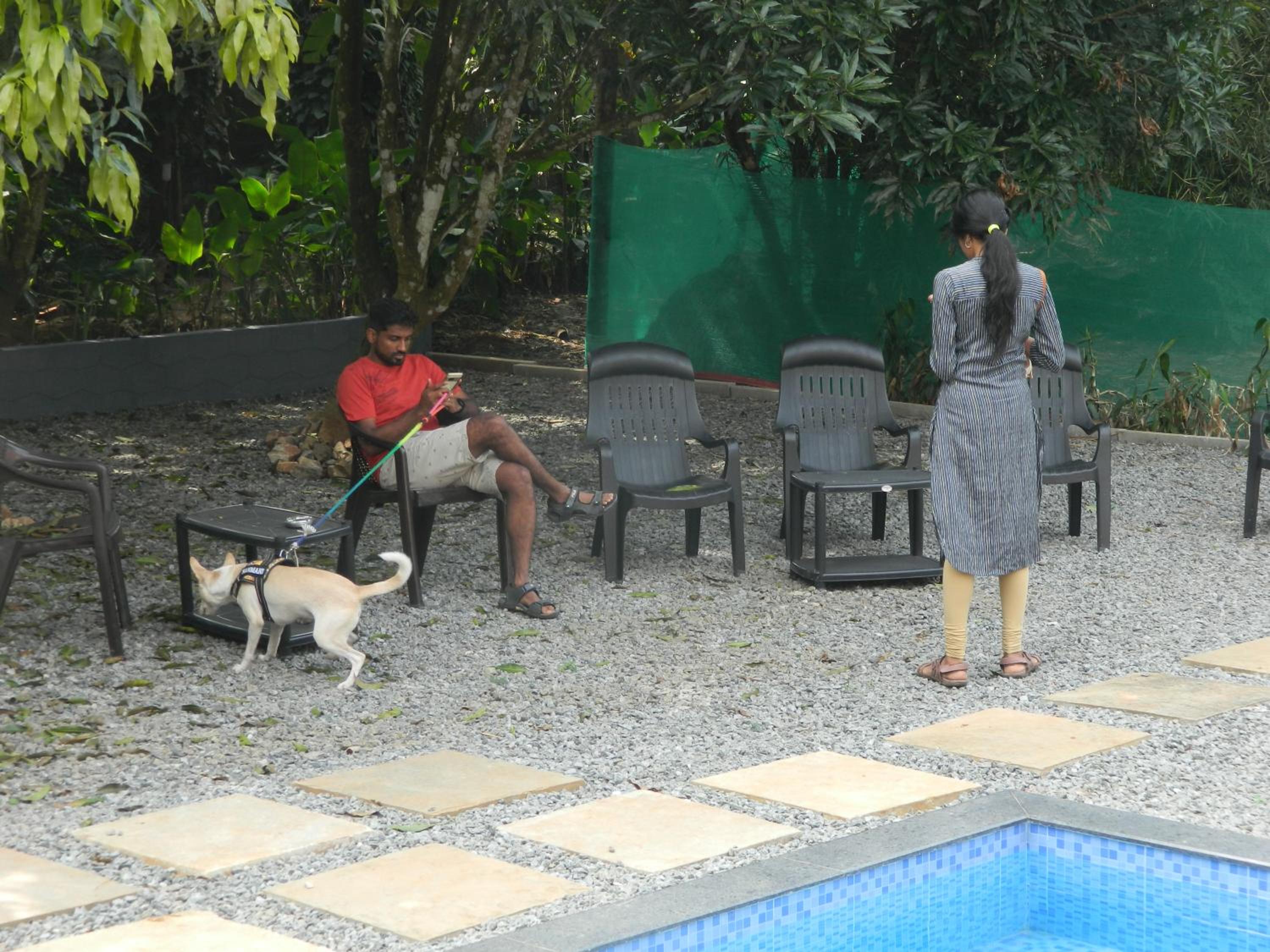 Torch Ginger Homestay