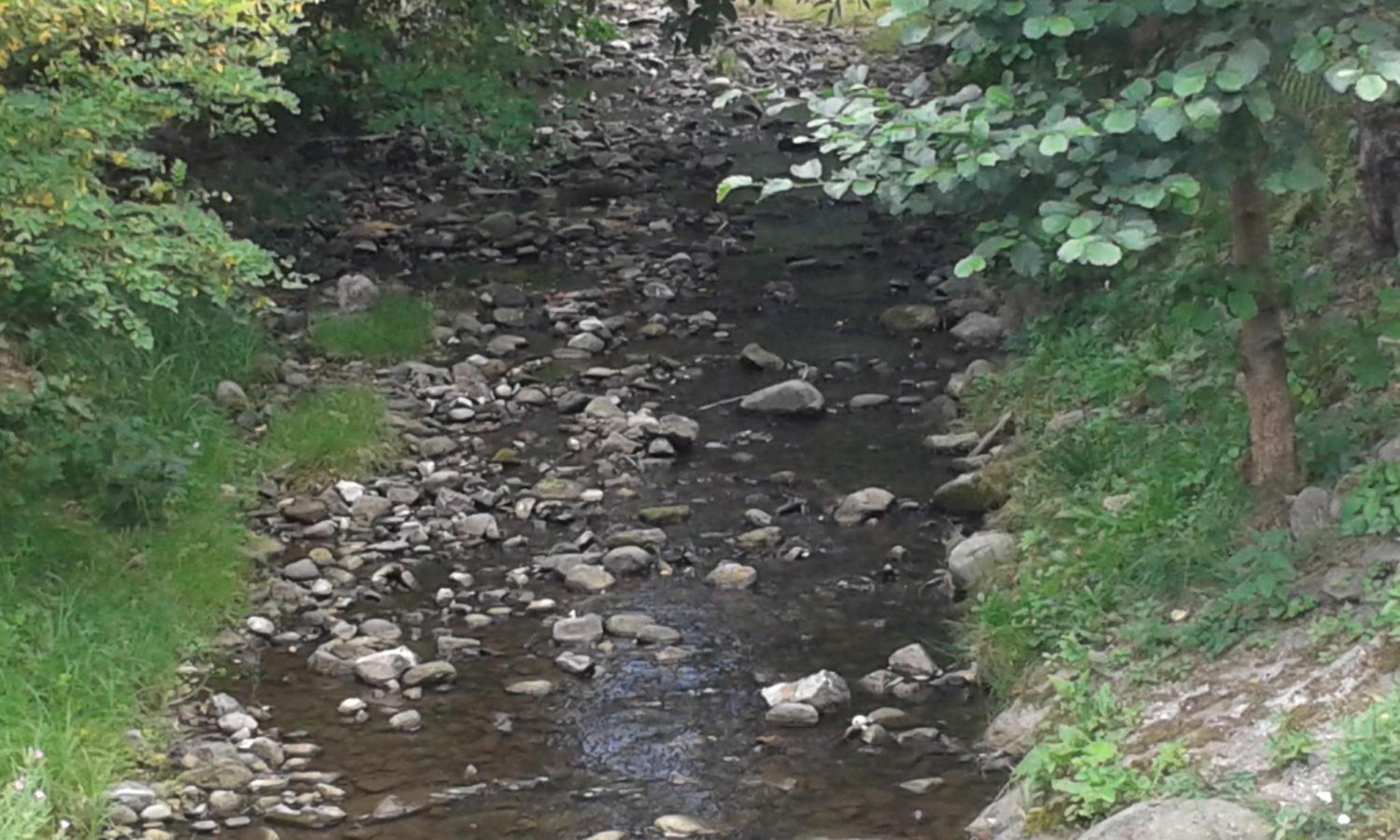Photo 26