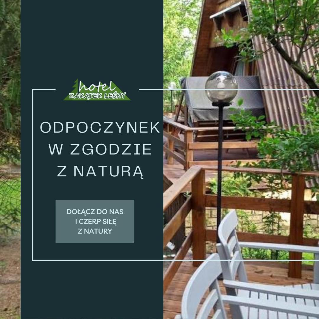 Hotel Zakątek Leśny view 3