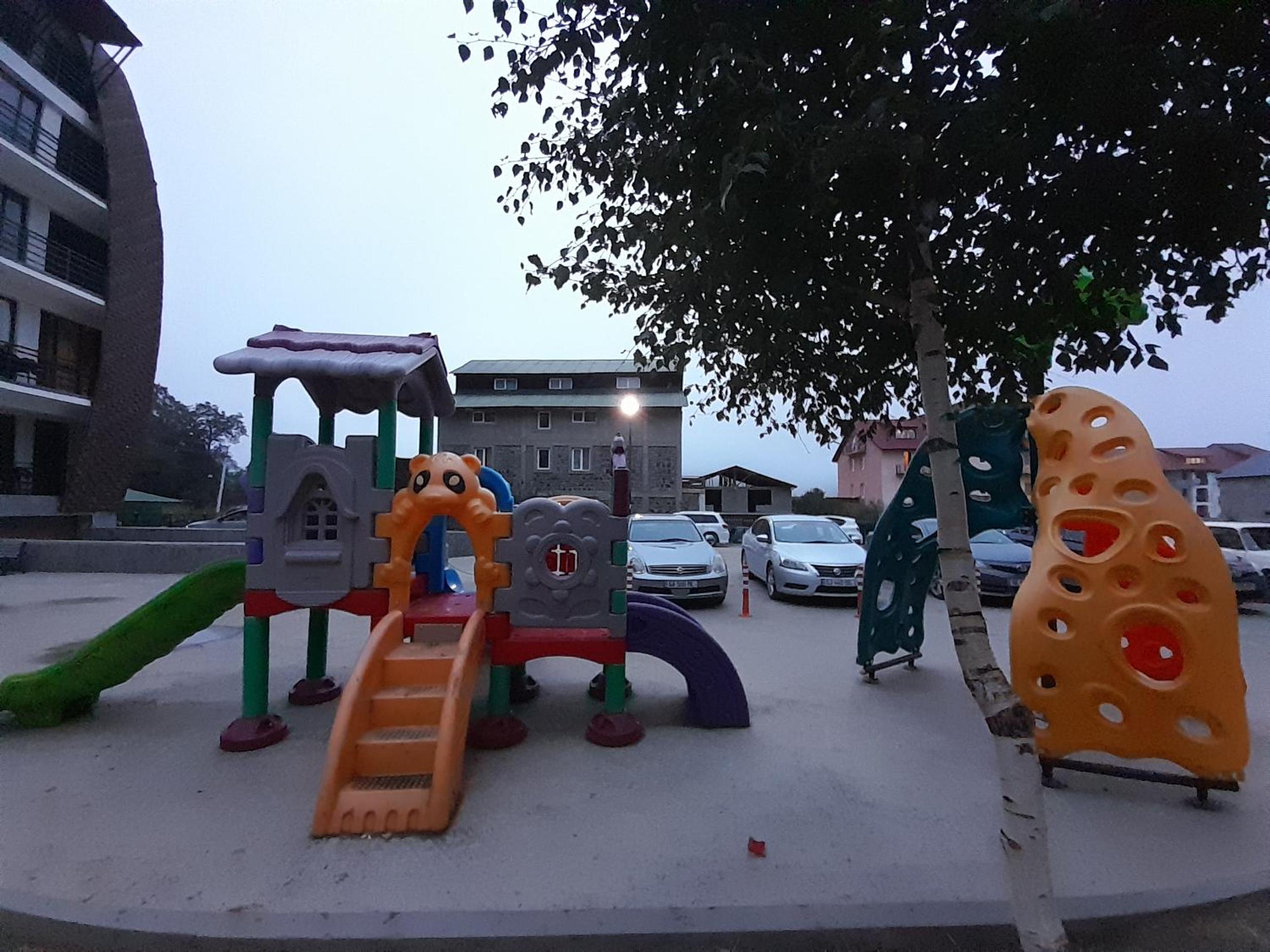 Photo 41