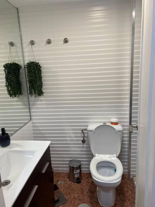 Apartamento Oasis