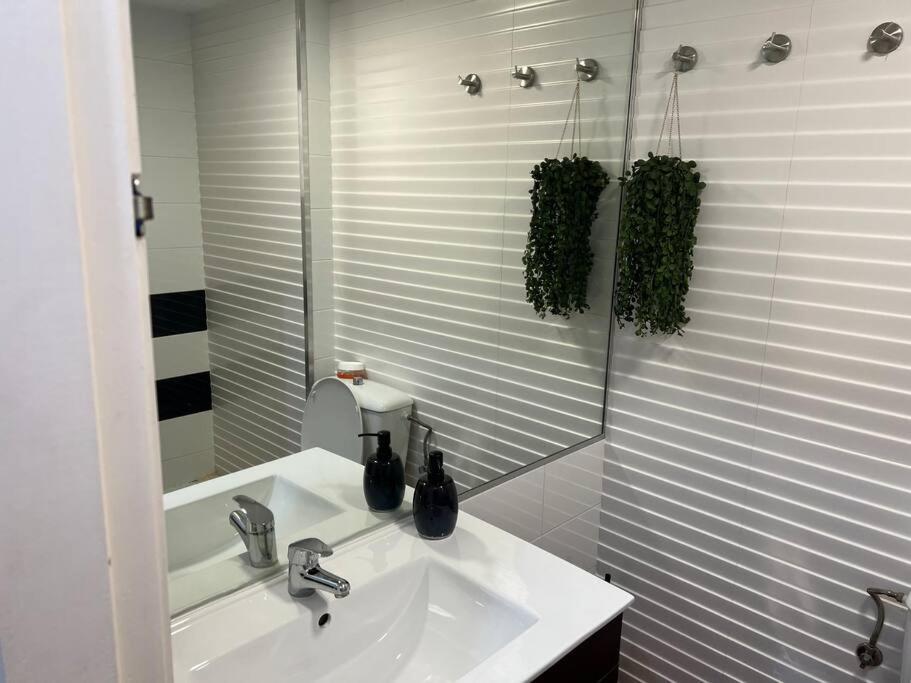 Apartamento Oasis