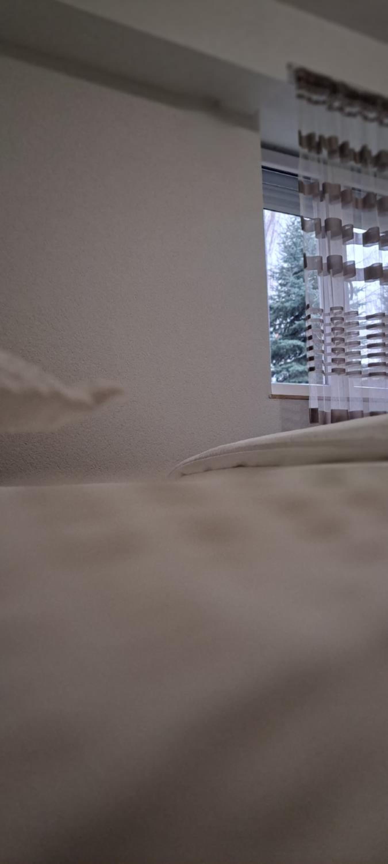 Apartman Maximus