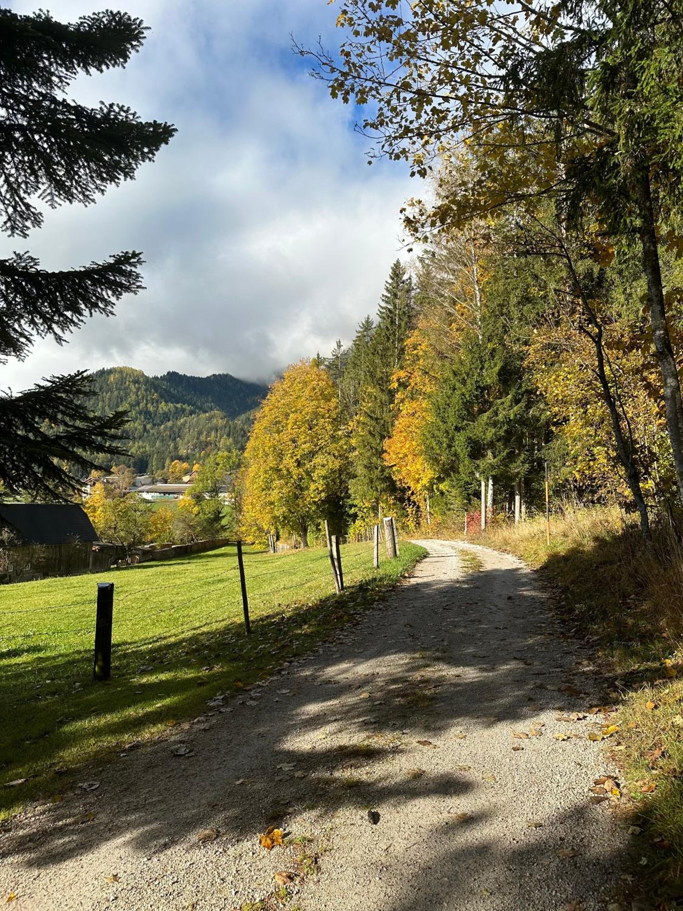Wald Appartement