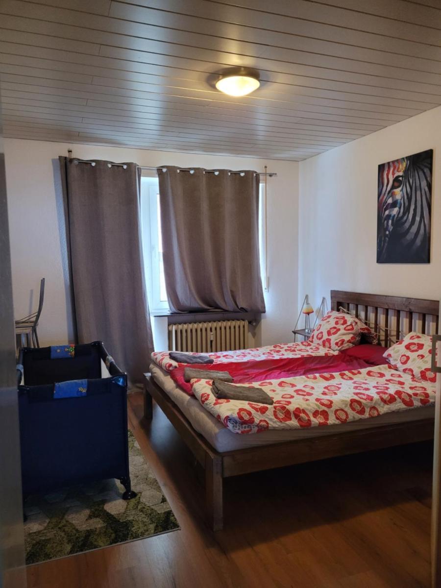 Apartments Nikol - Ludwigshafen