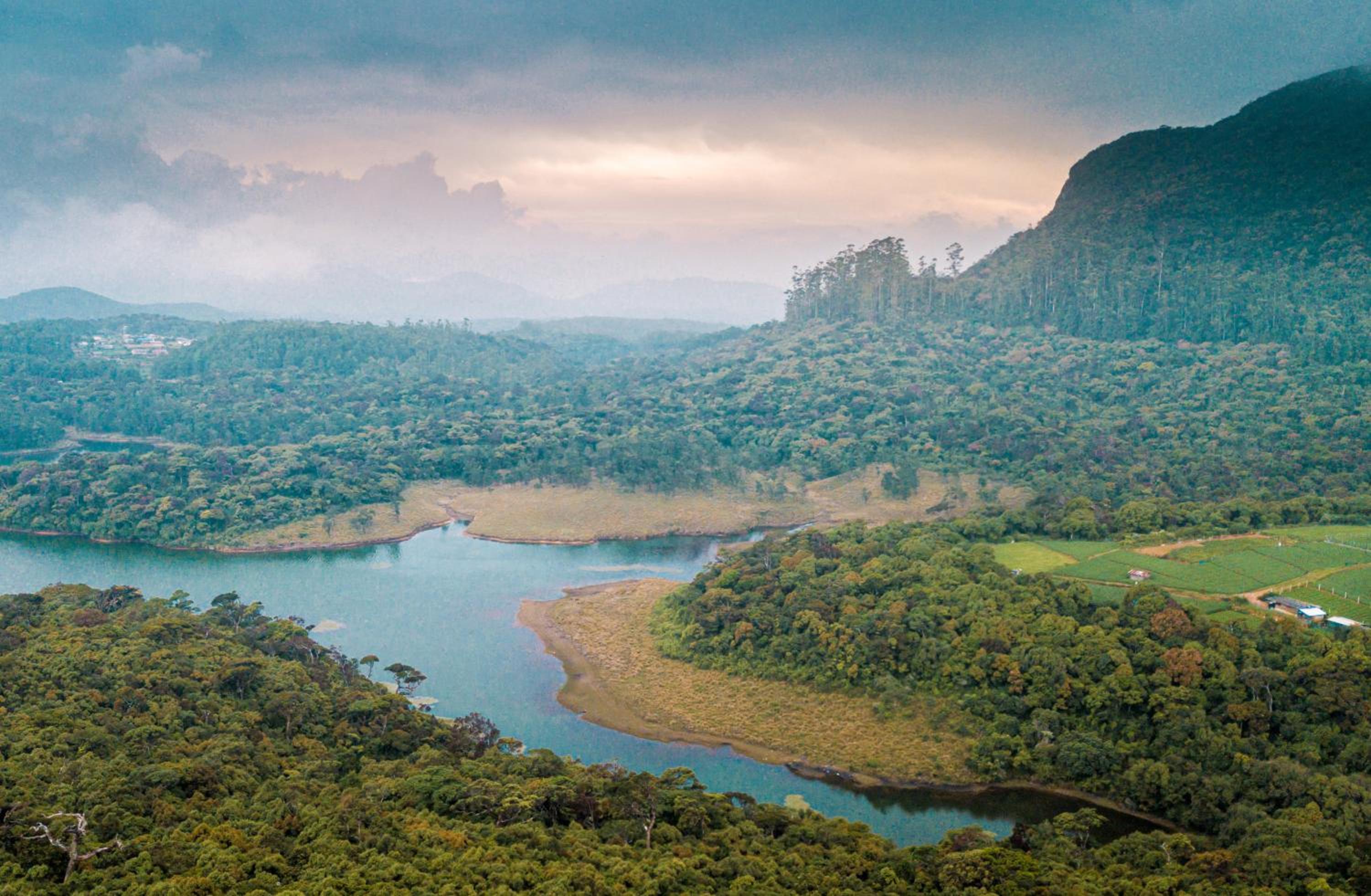 The Forest and Lake by Schofieldshire