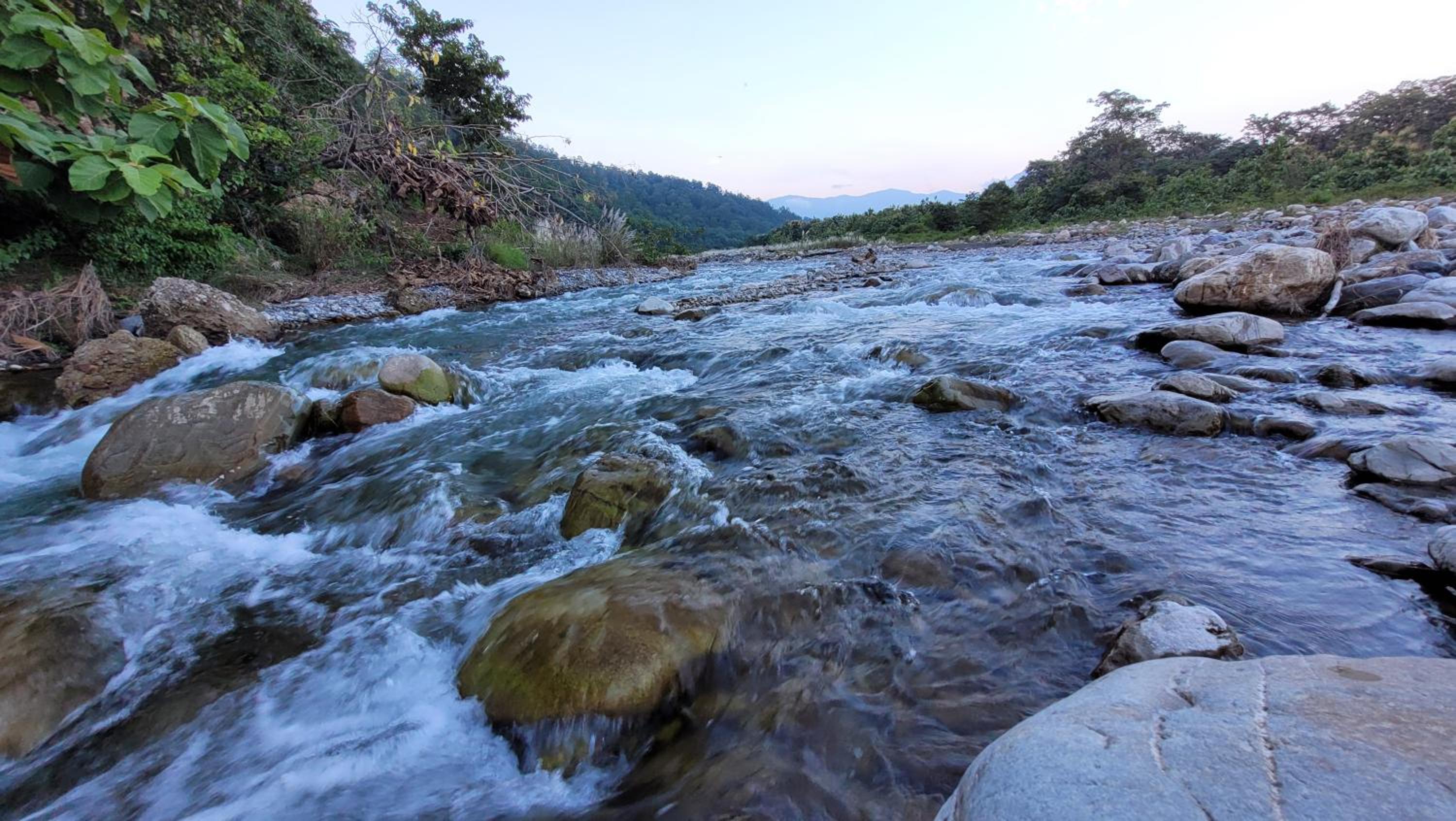 Corbett Mid Forest House - 200 Meters from Sitabani Jungle Safari view 3