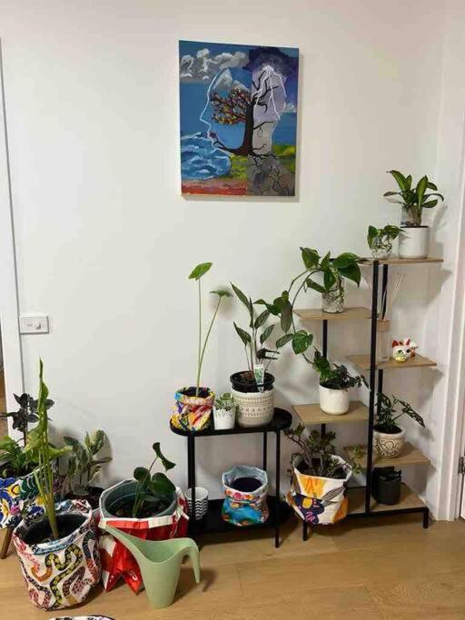 “Urban Oasis ” Central emporium apt ,Free Parking