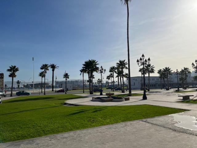 Photo 44