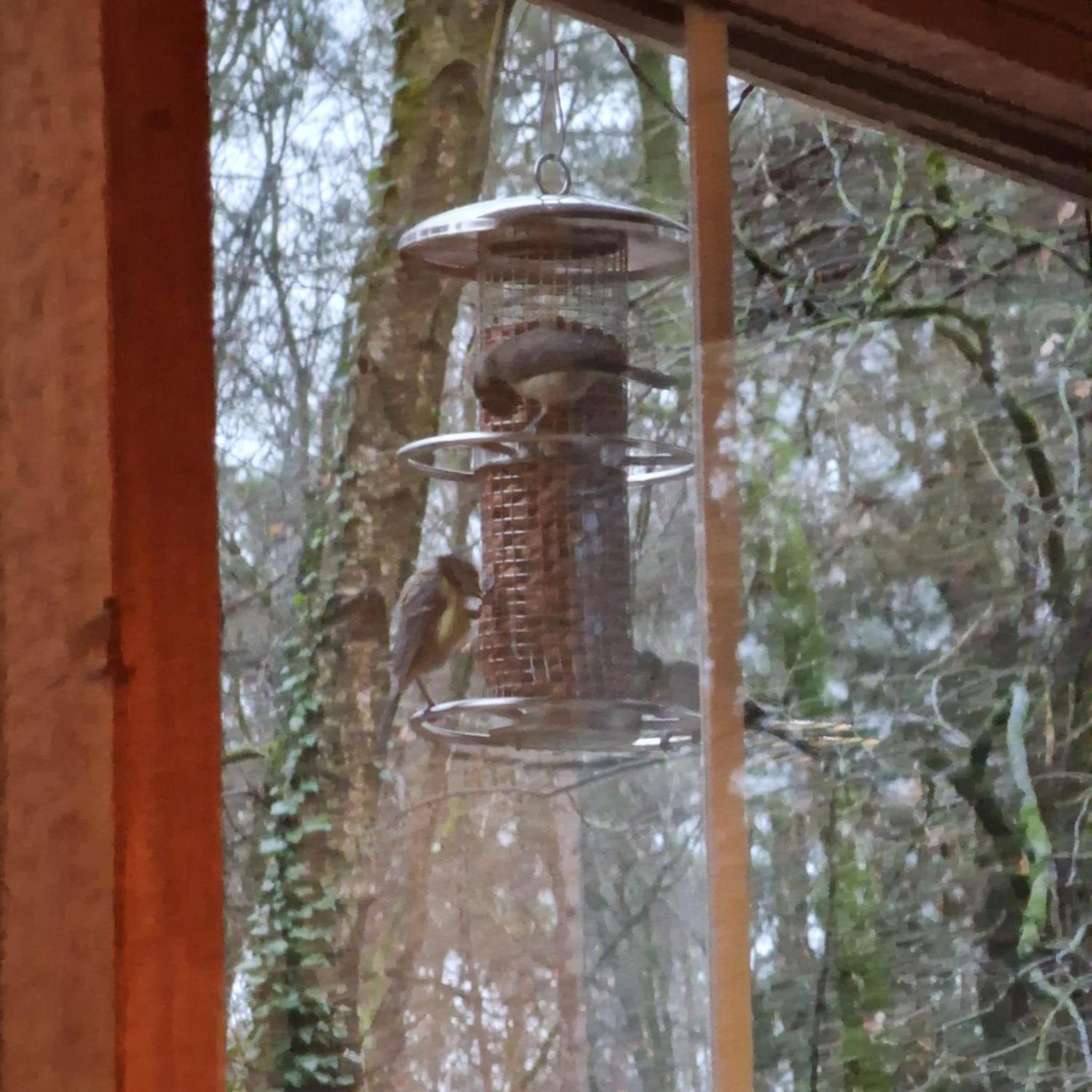 Vakantiechalet voor 4 plus 2 met sauna
