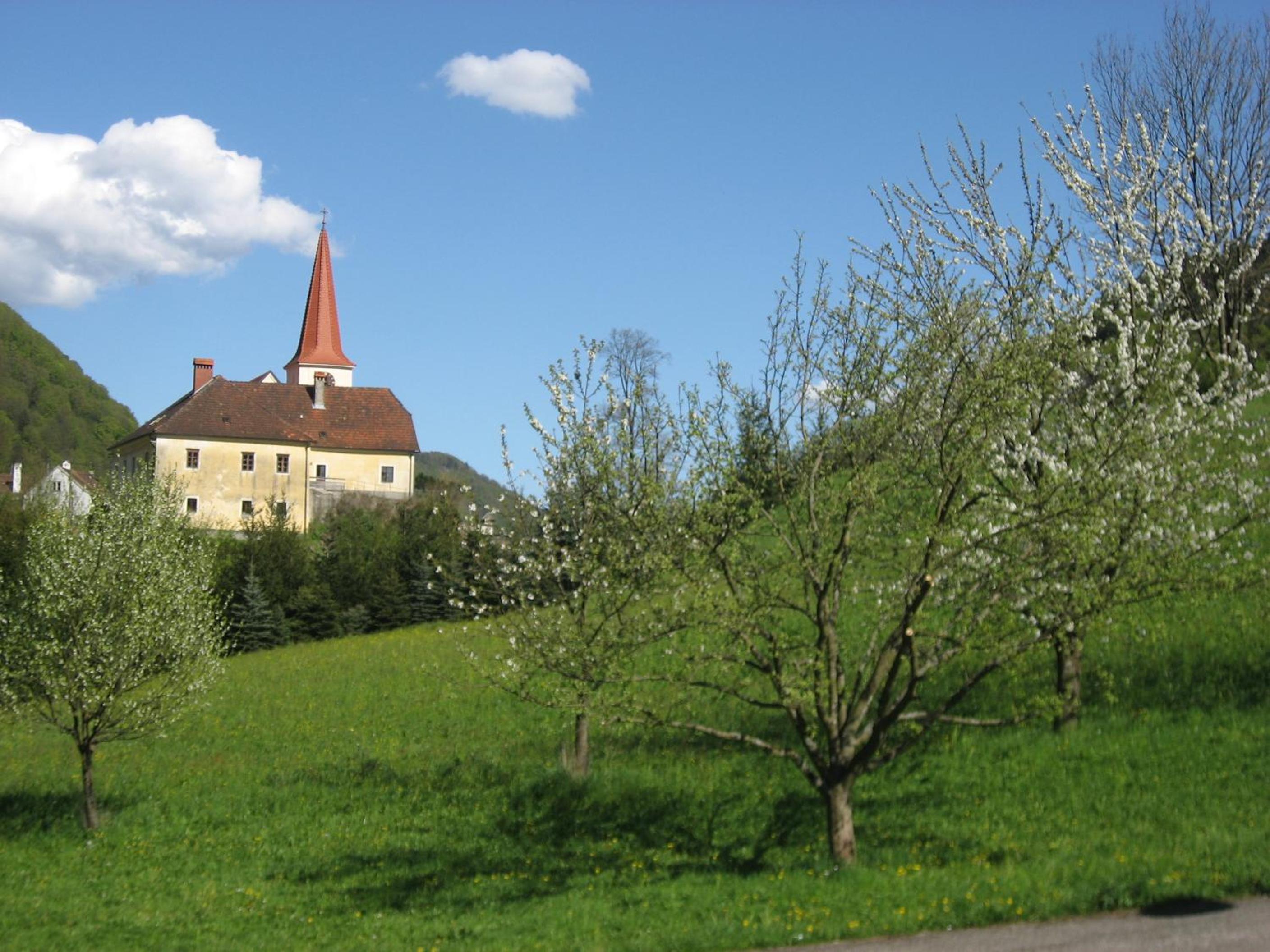 Photo 37