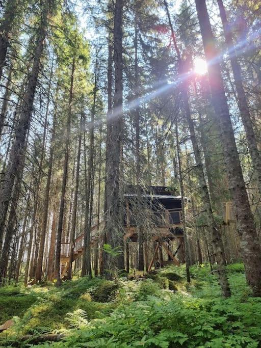 Treetop Ekne - Hytte i skogen med hengebru view 2
