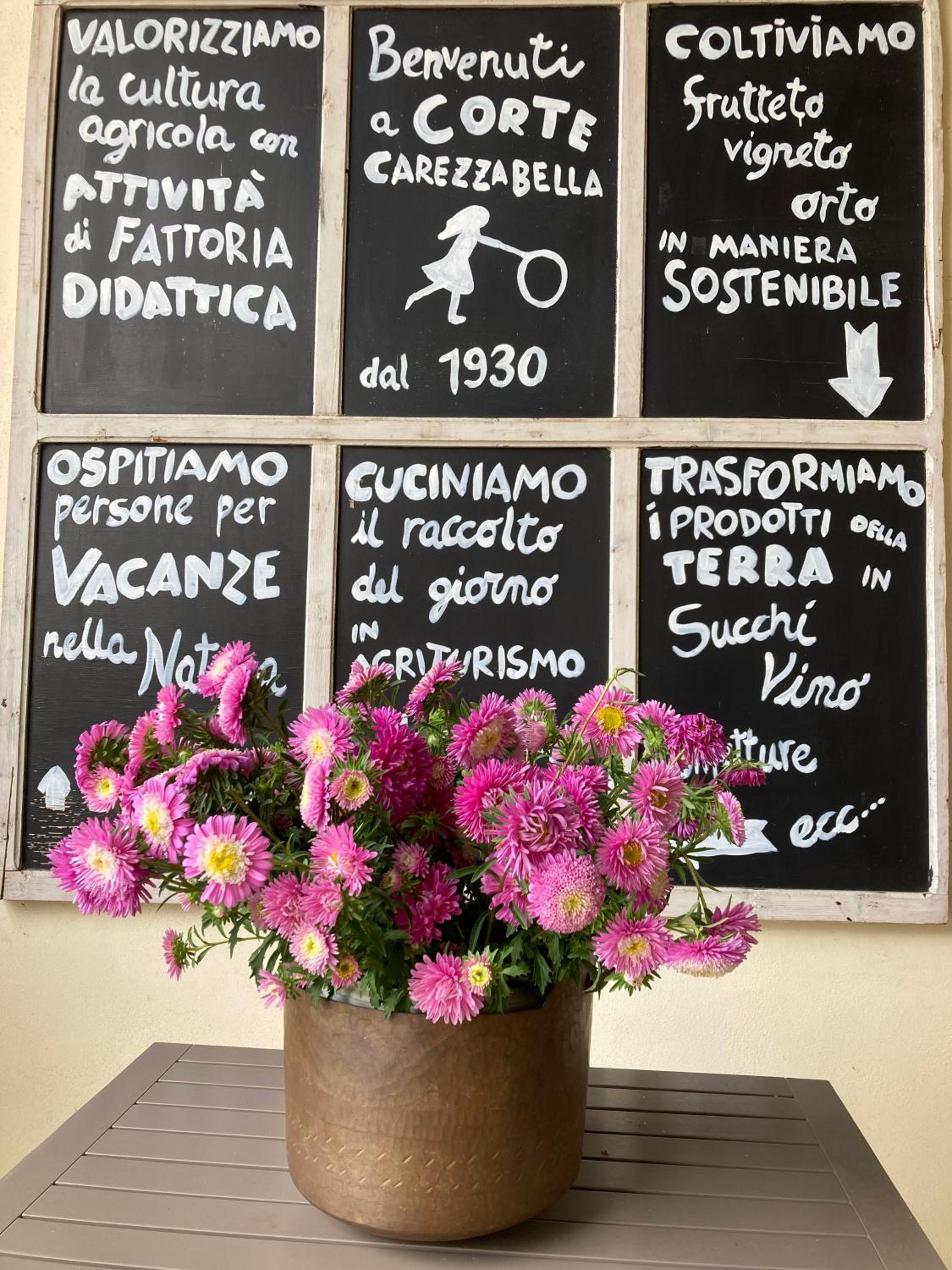 Agriturismo Corte Carezzabella