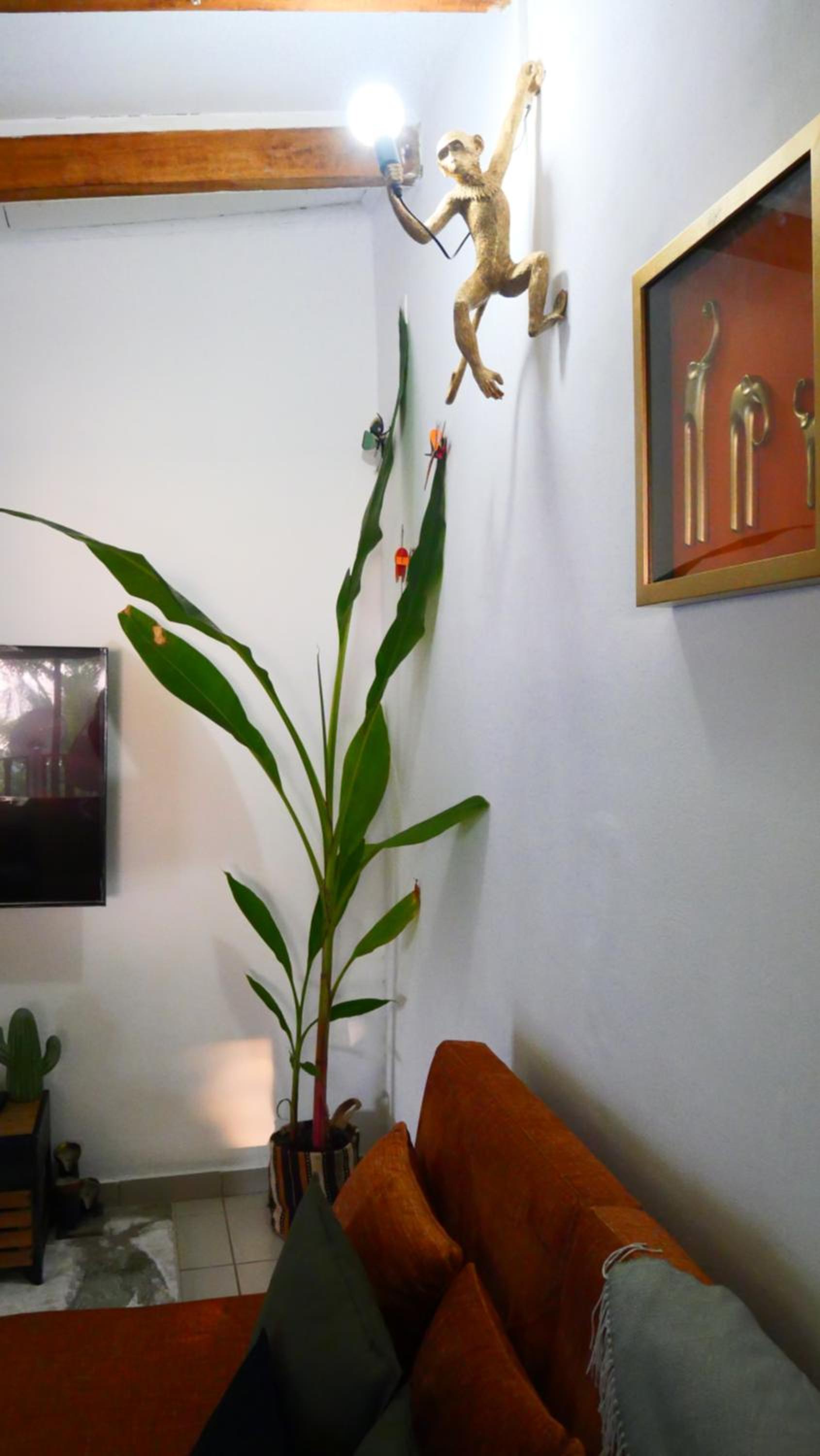 Photo 64