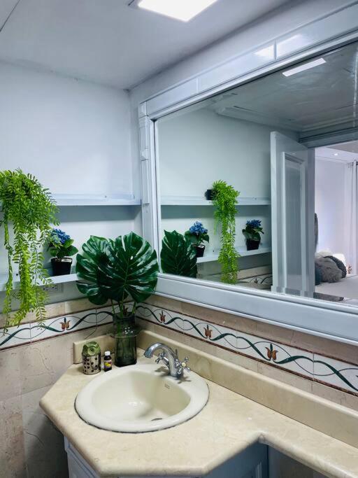 Apartamento con vista mar y la ciudad La Paz en Malecón Santo Domingo