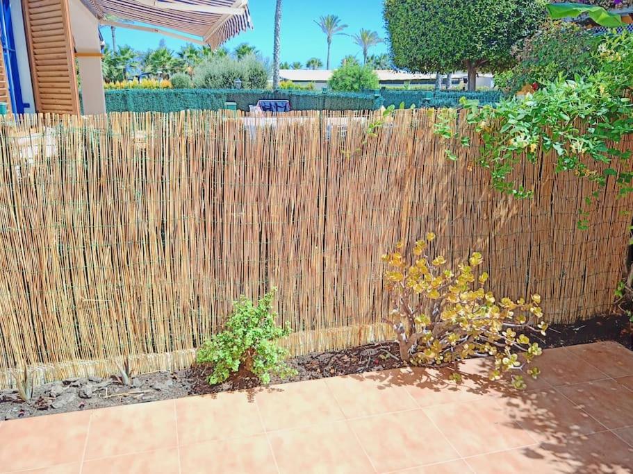 Photo 48