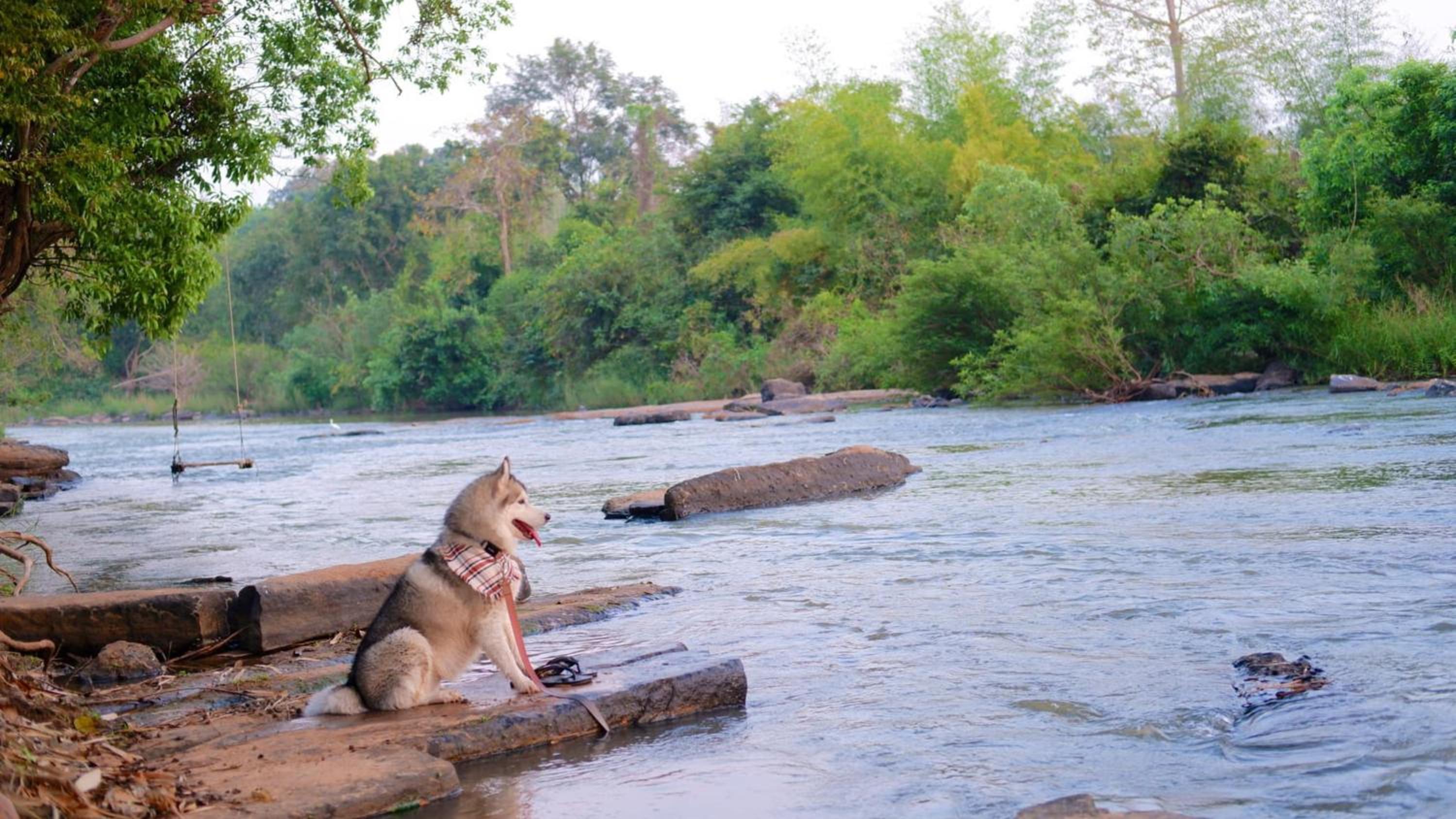 Naturalpark Resort De Wangthong
