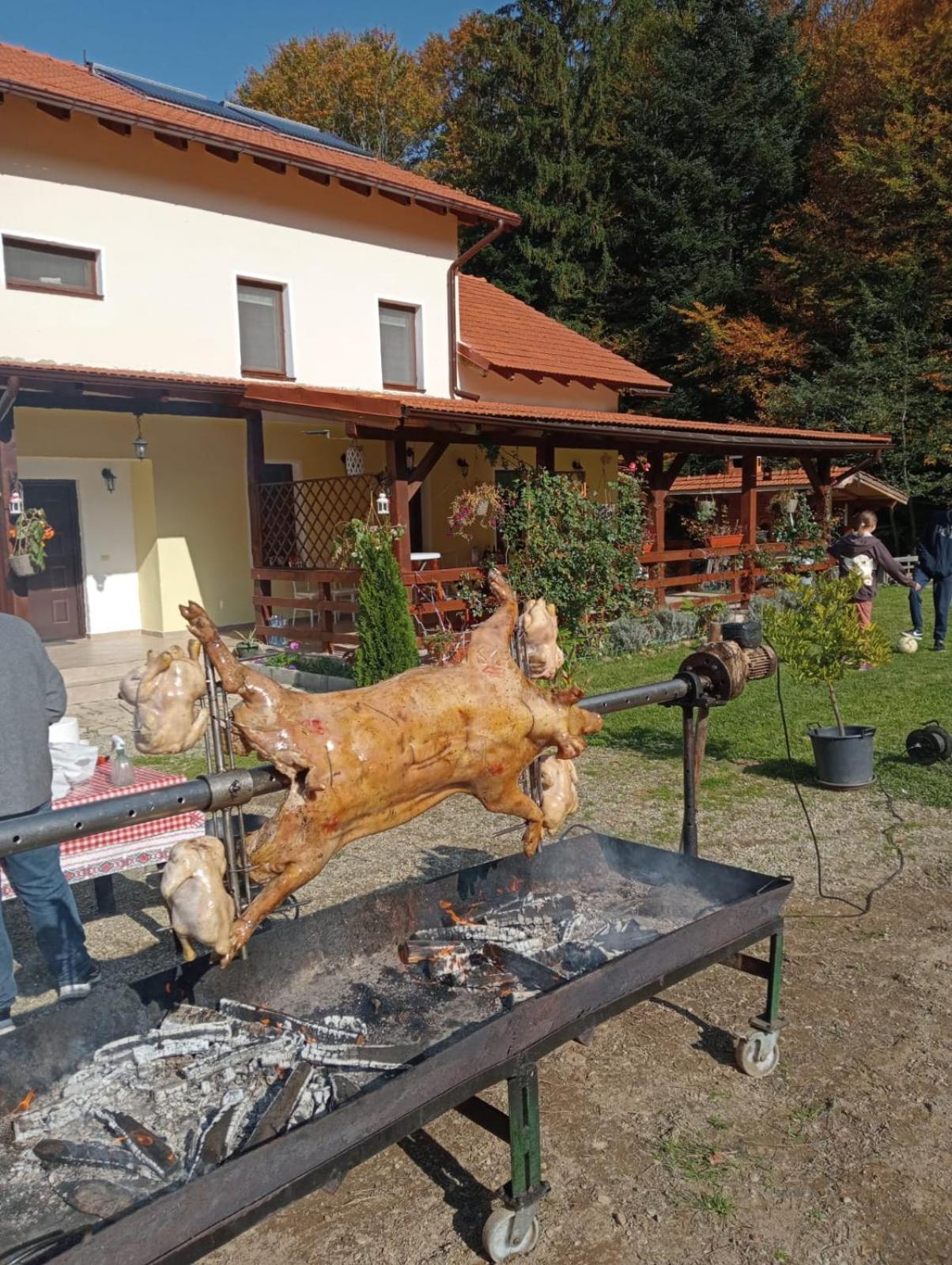 Photo 44