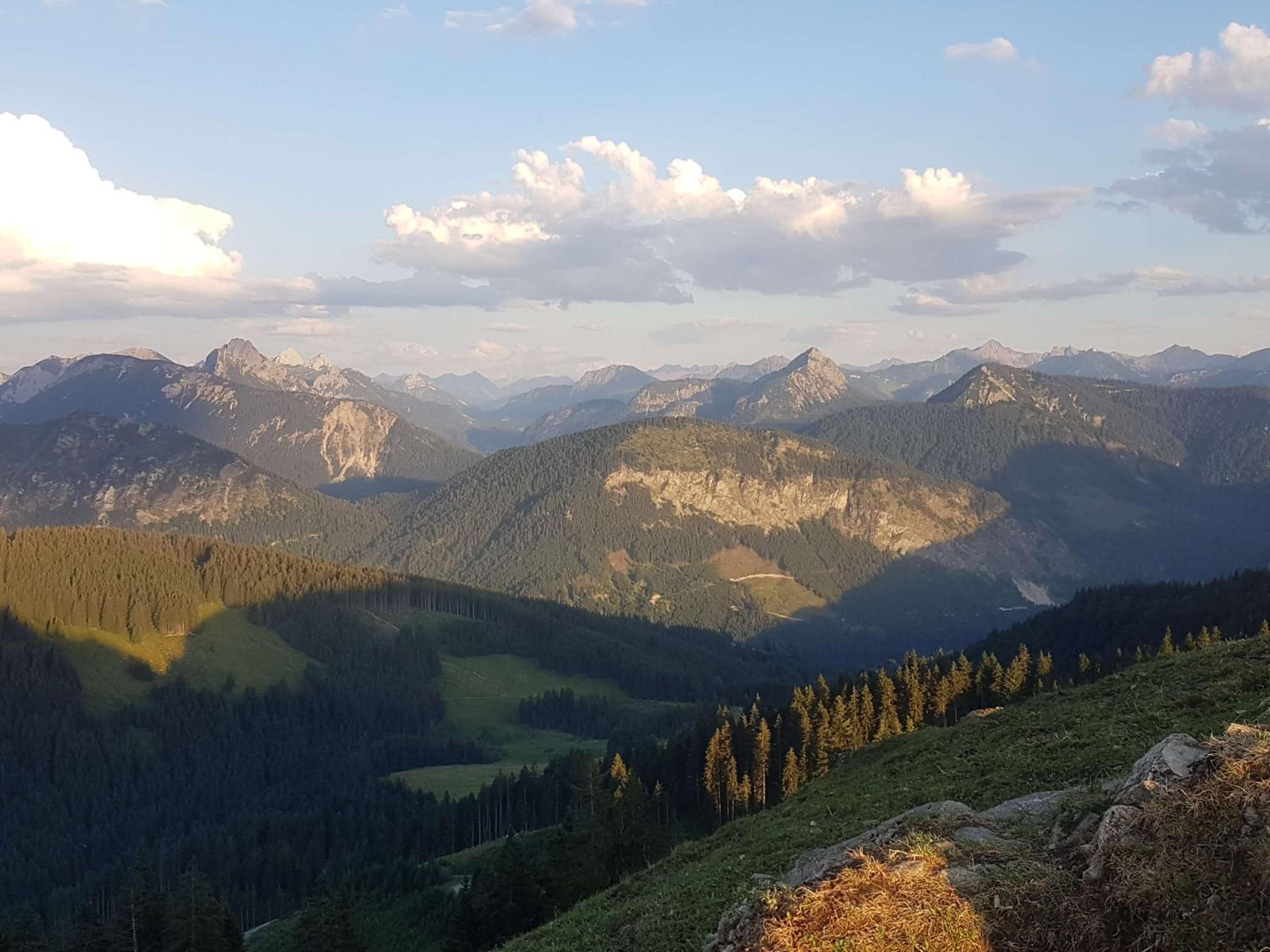 4-Sterne Tiny House & erholsame Ruhe und ganz viel Natur im Oberallgäu